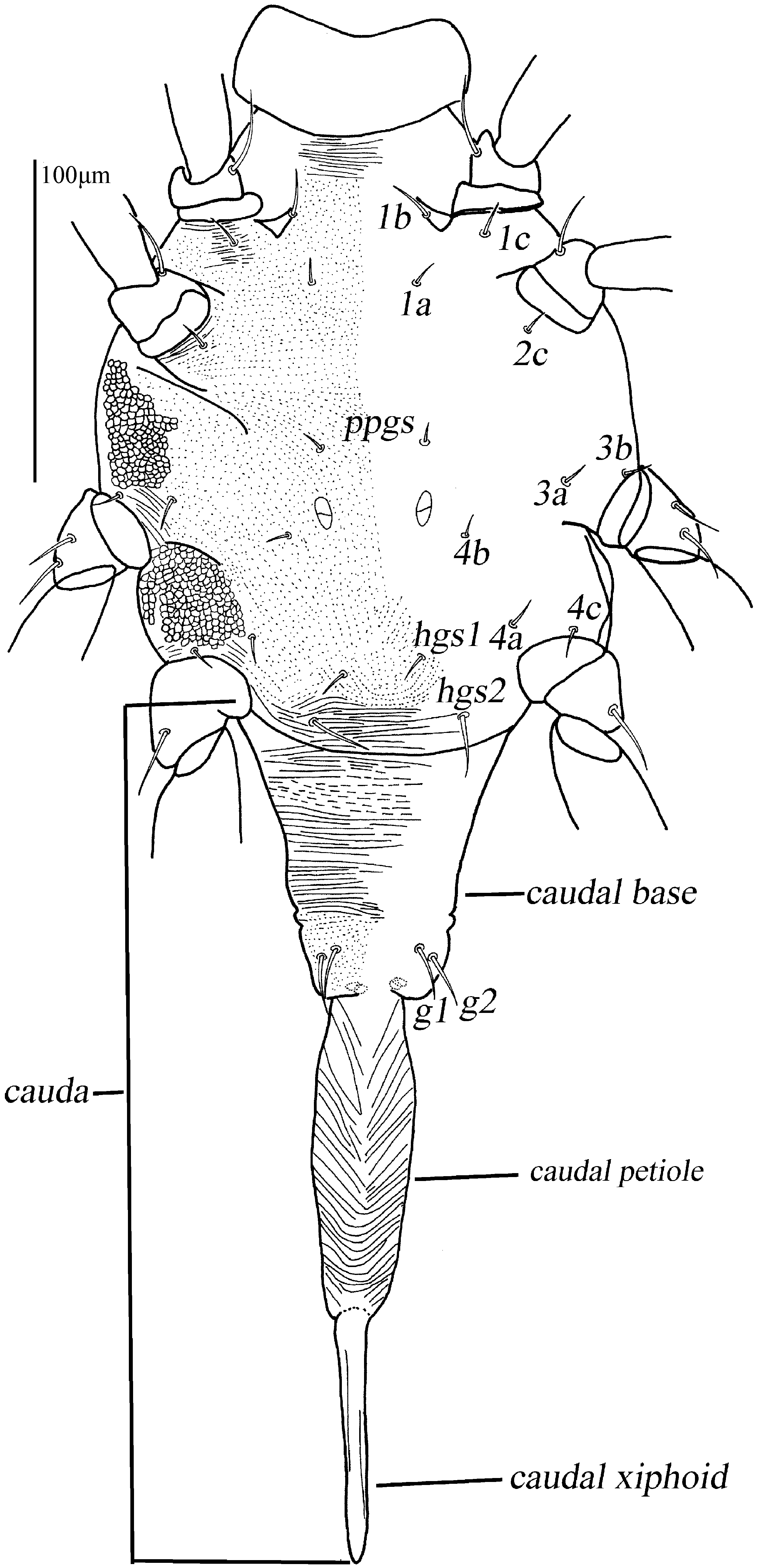 Animals 13 01363 g004