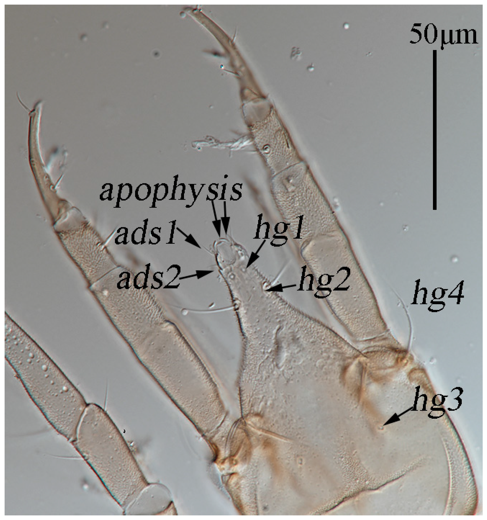 Animals 13 01363 g006