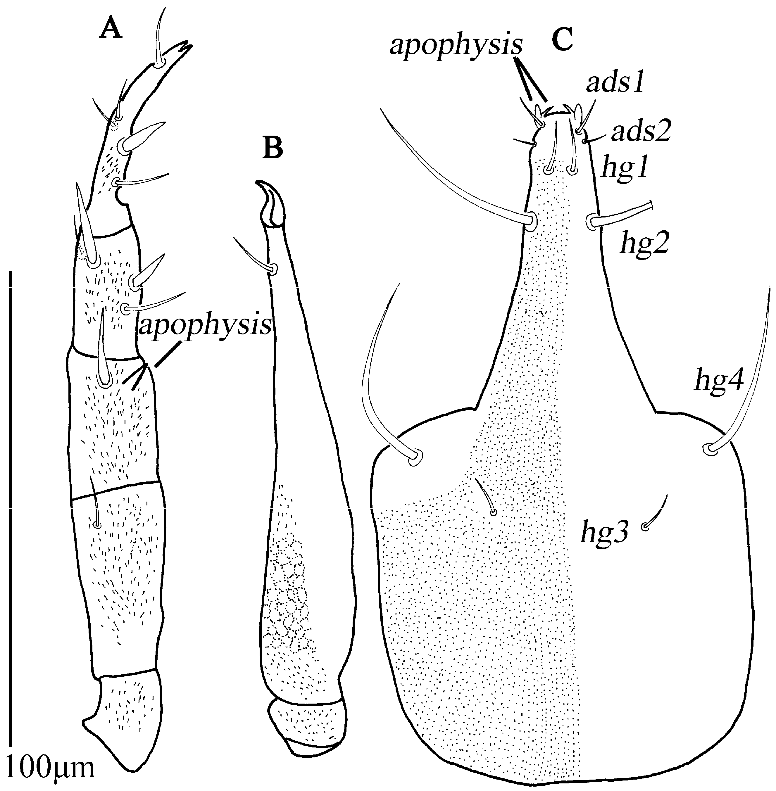 Animals 13 01363 g007
