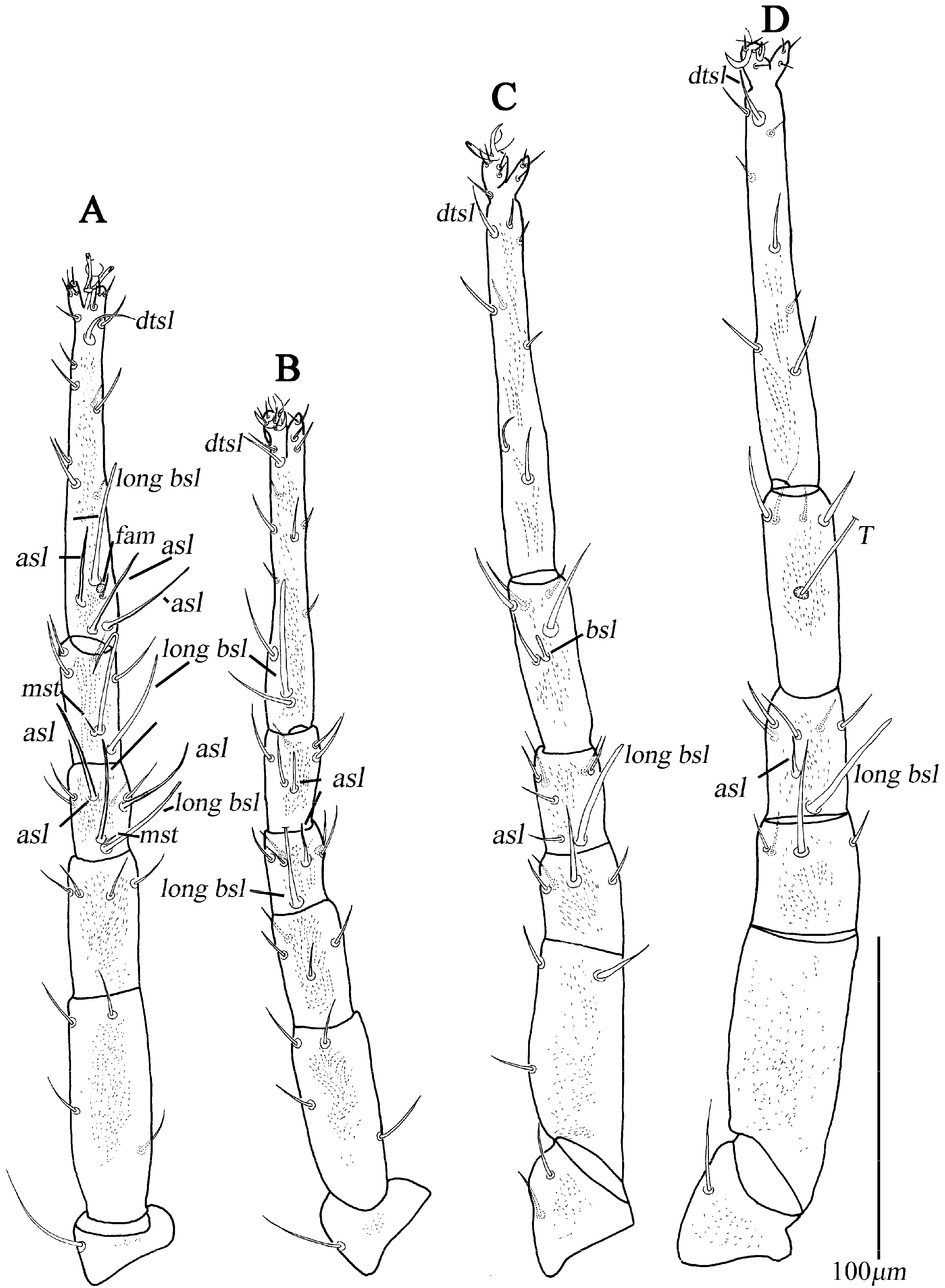 Animals 13 01363 g008
