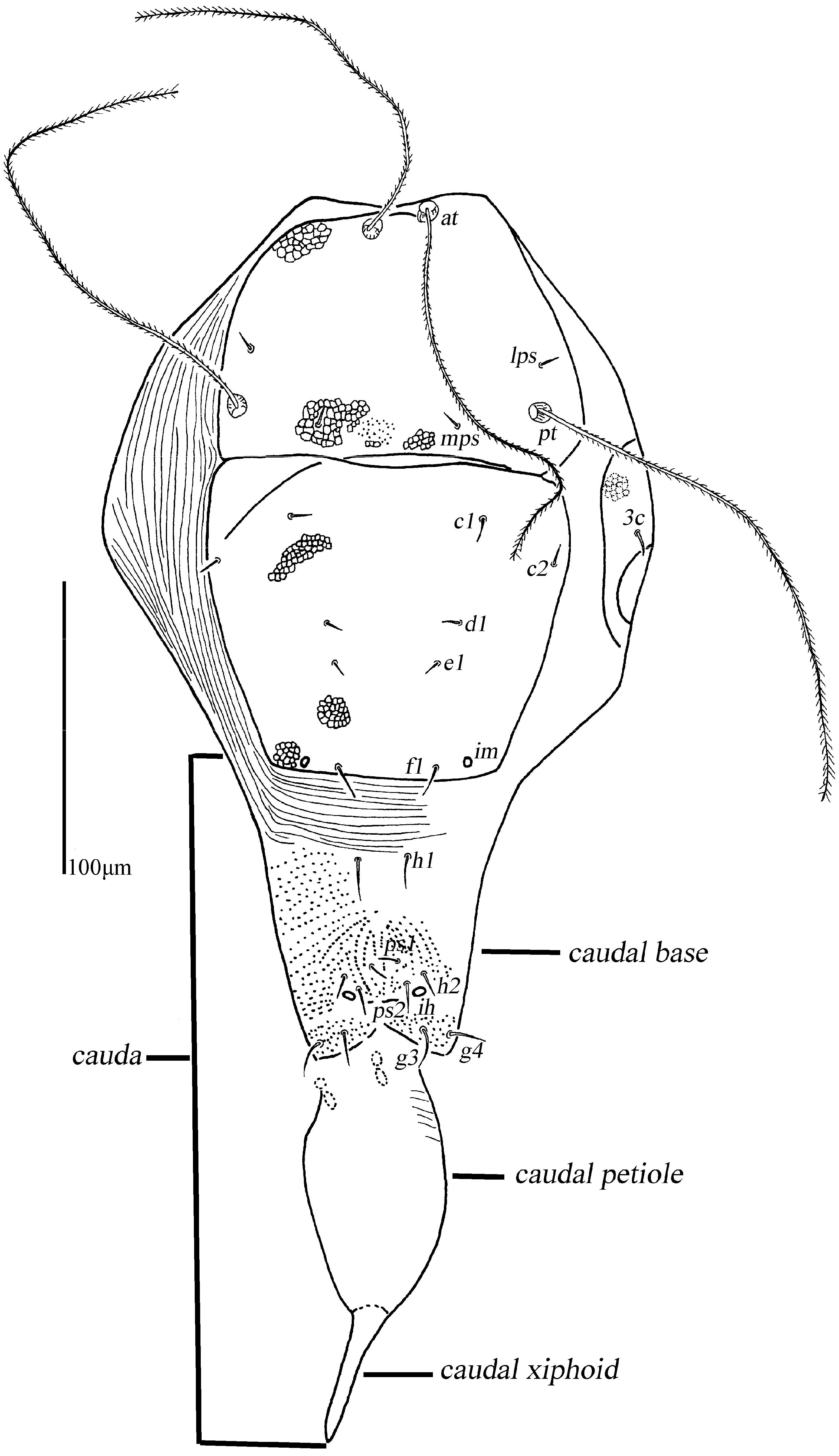 Animals 13 01363 g009