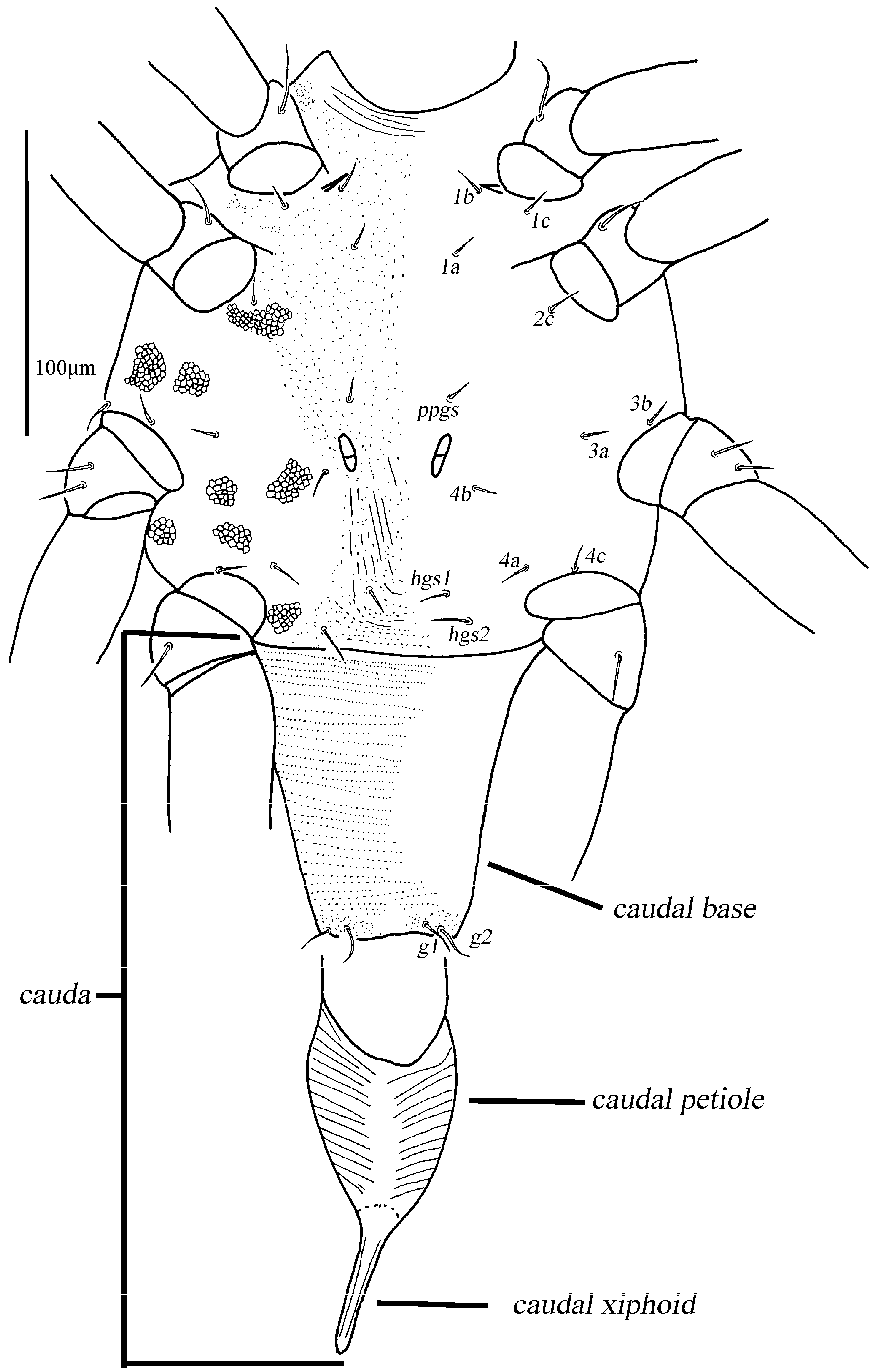 Animals 13 01363 g010