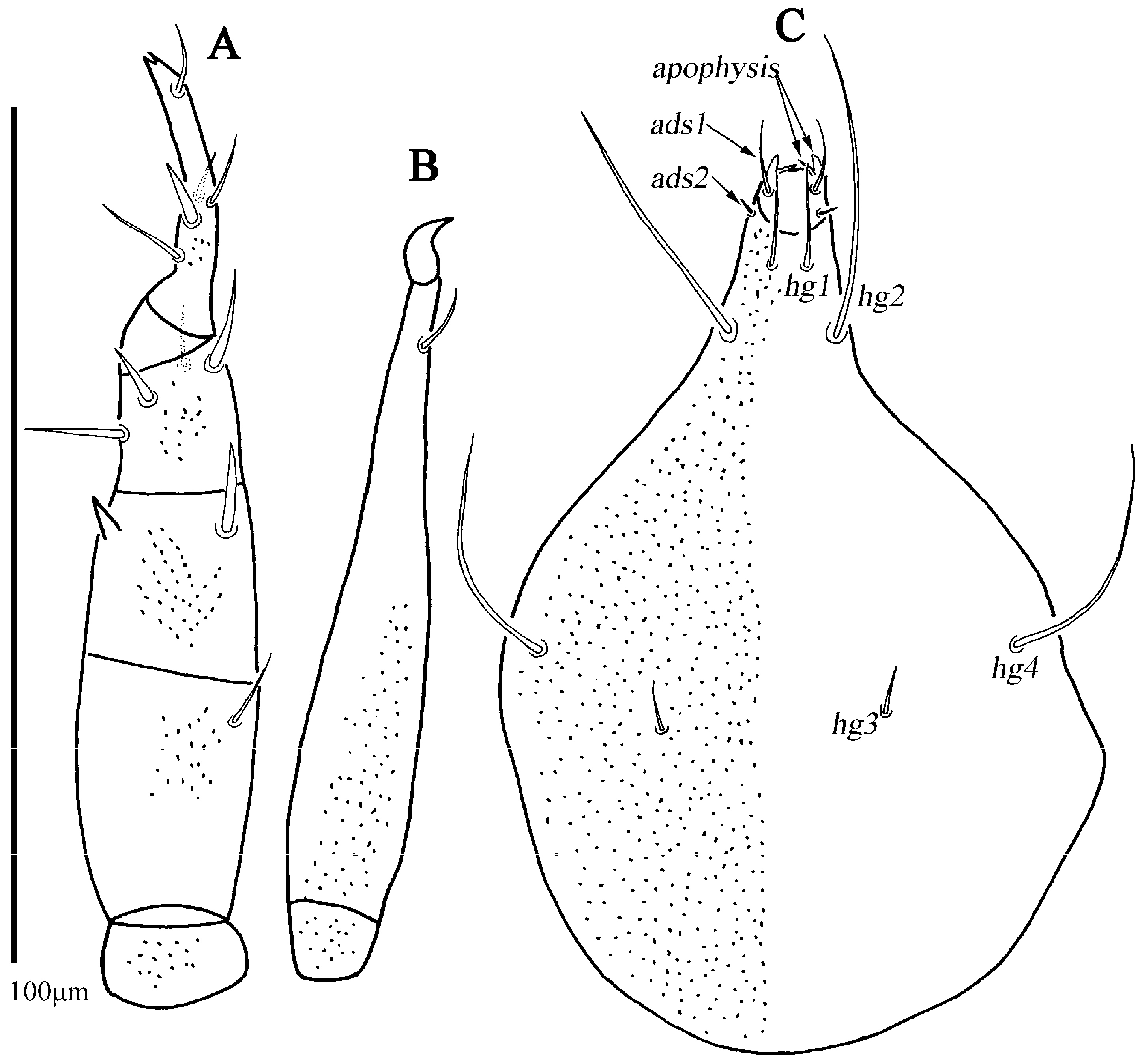 Animals 13 01363 g012