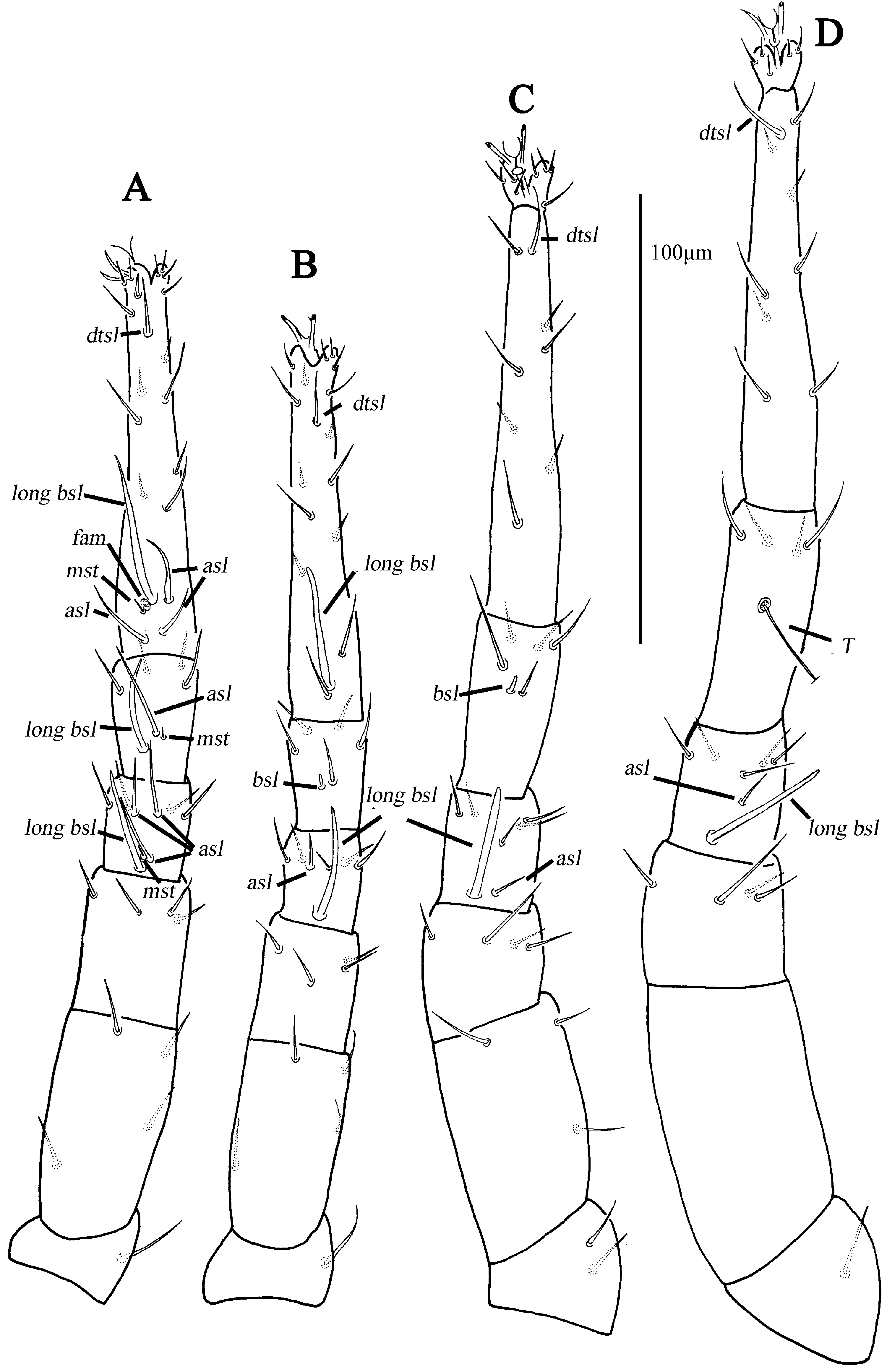 Animals 13 01363 g013