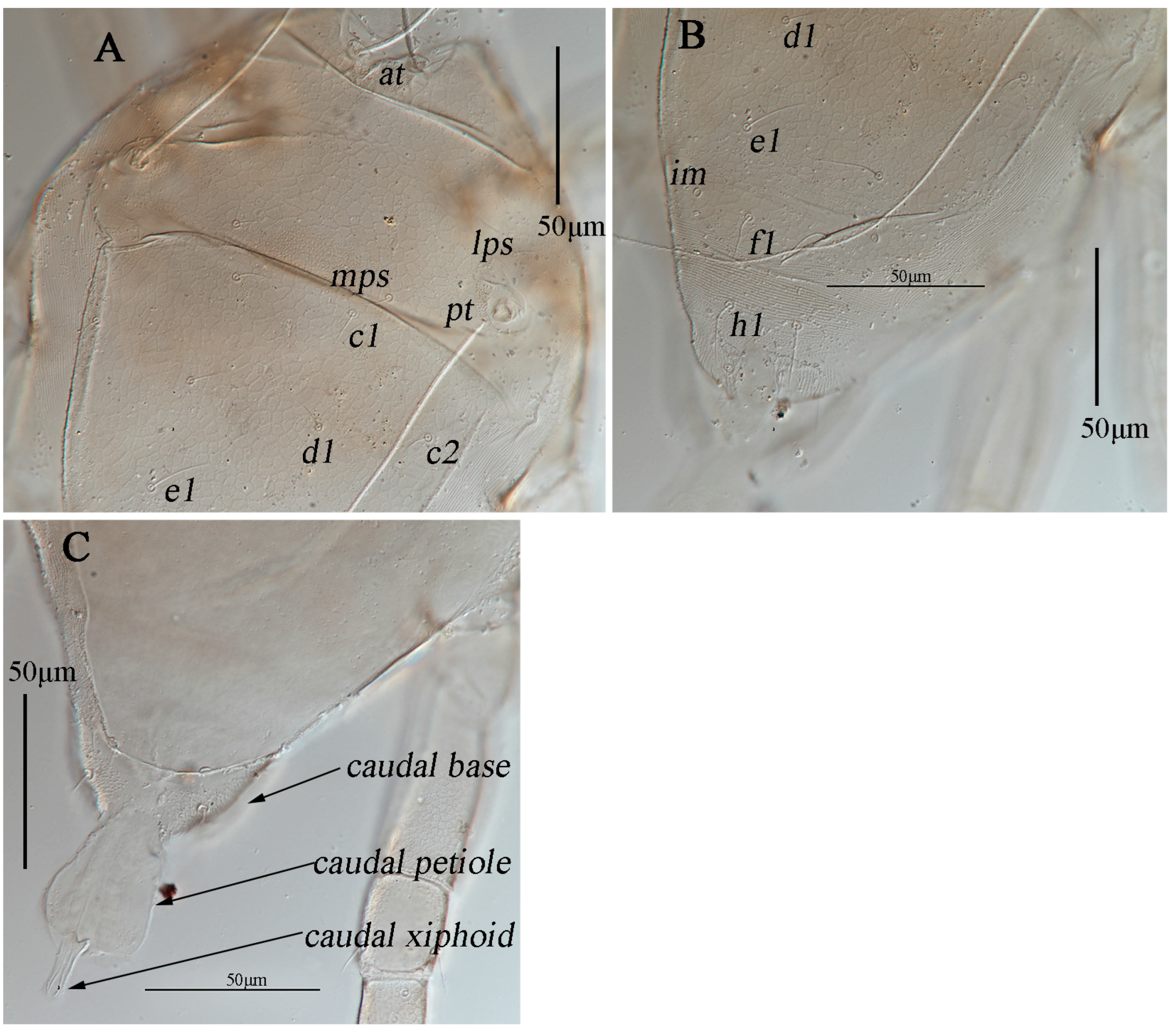 Animals 13 01363 g016