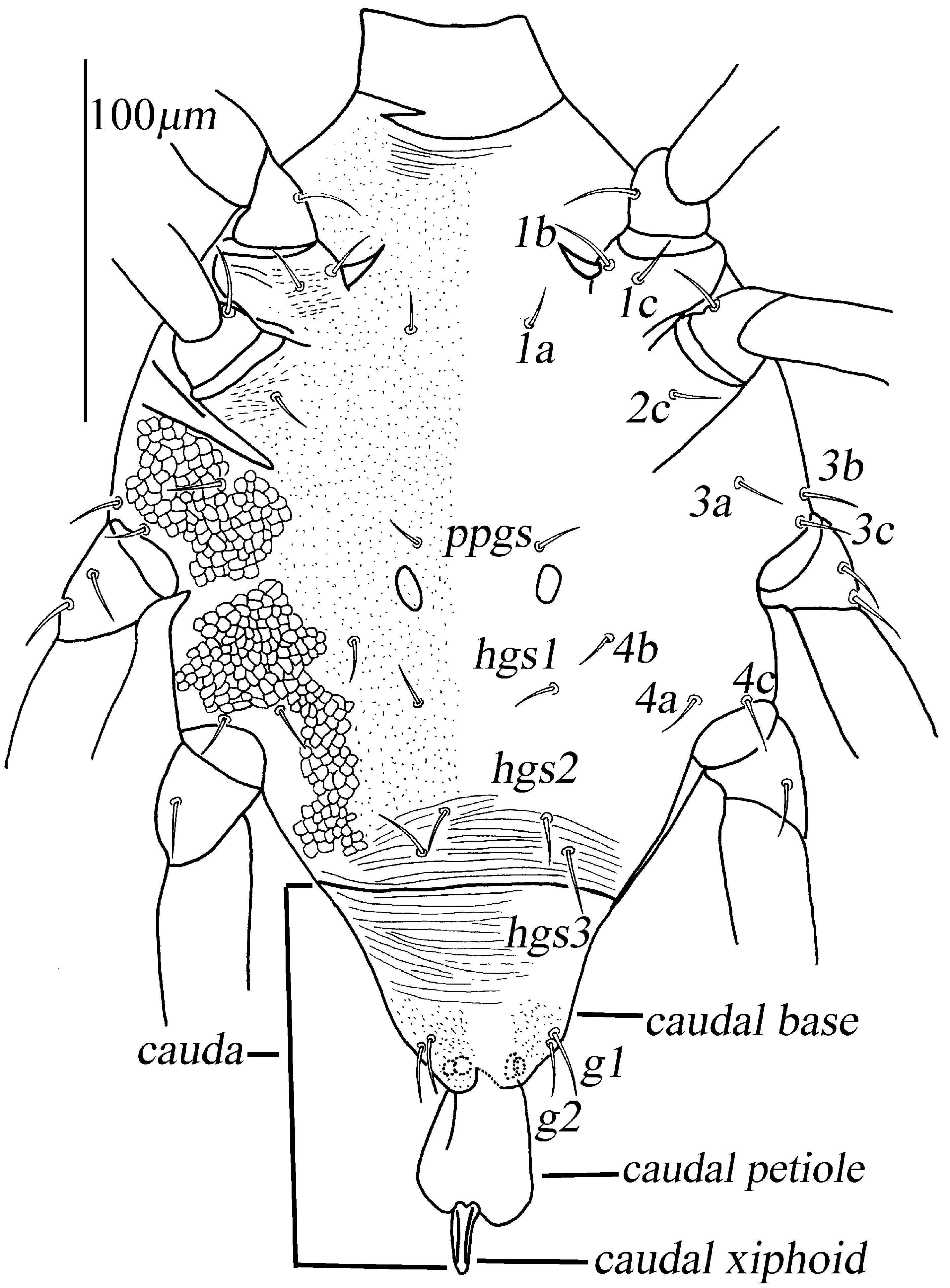 Animals 13 01363 g017