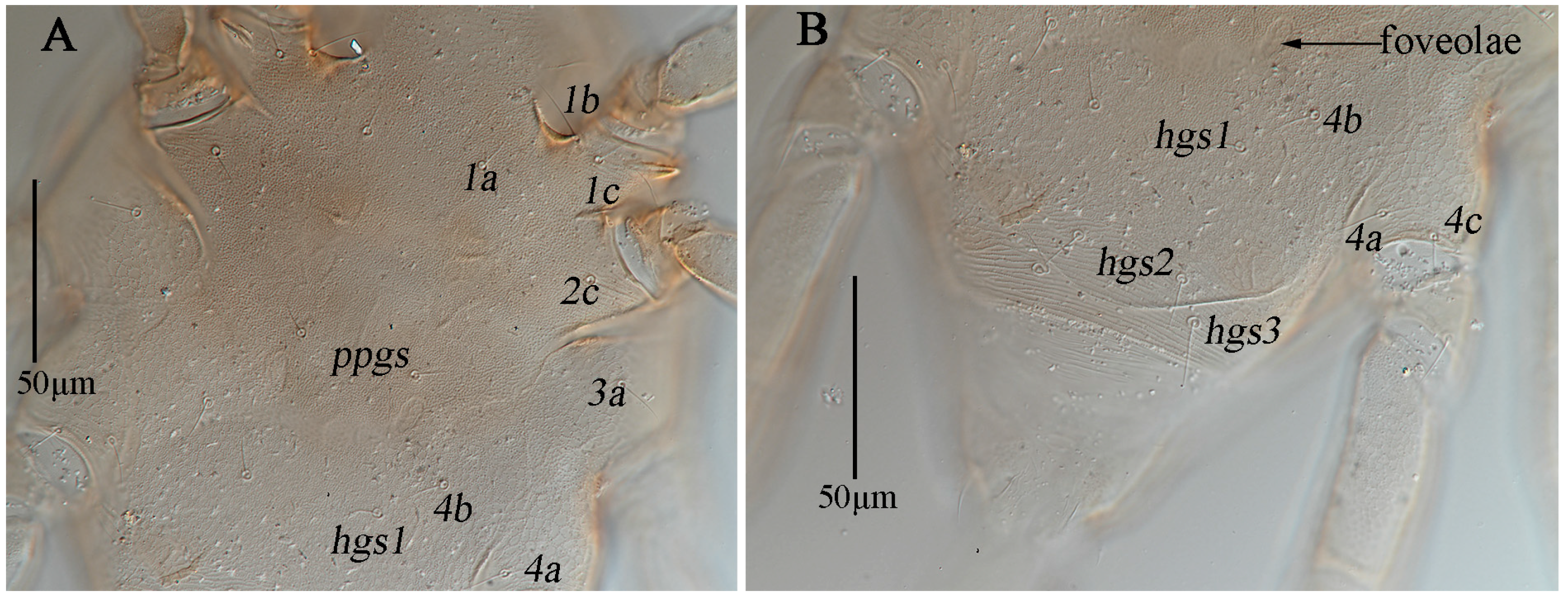 Animals 13 01363 g018