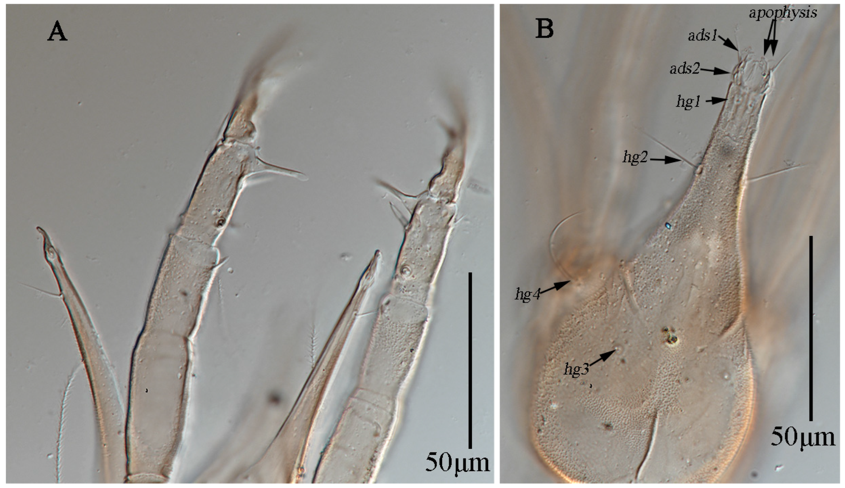 Animals 13 01363 g019