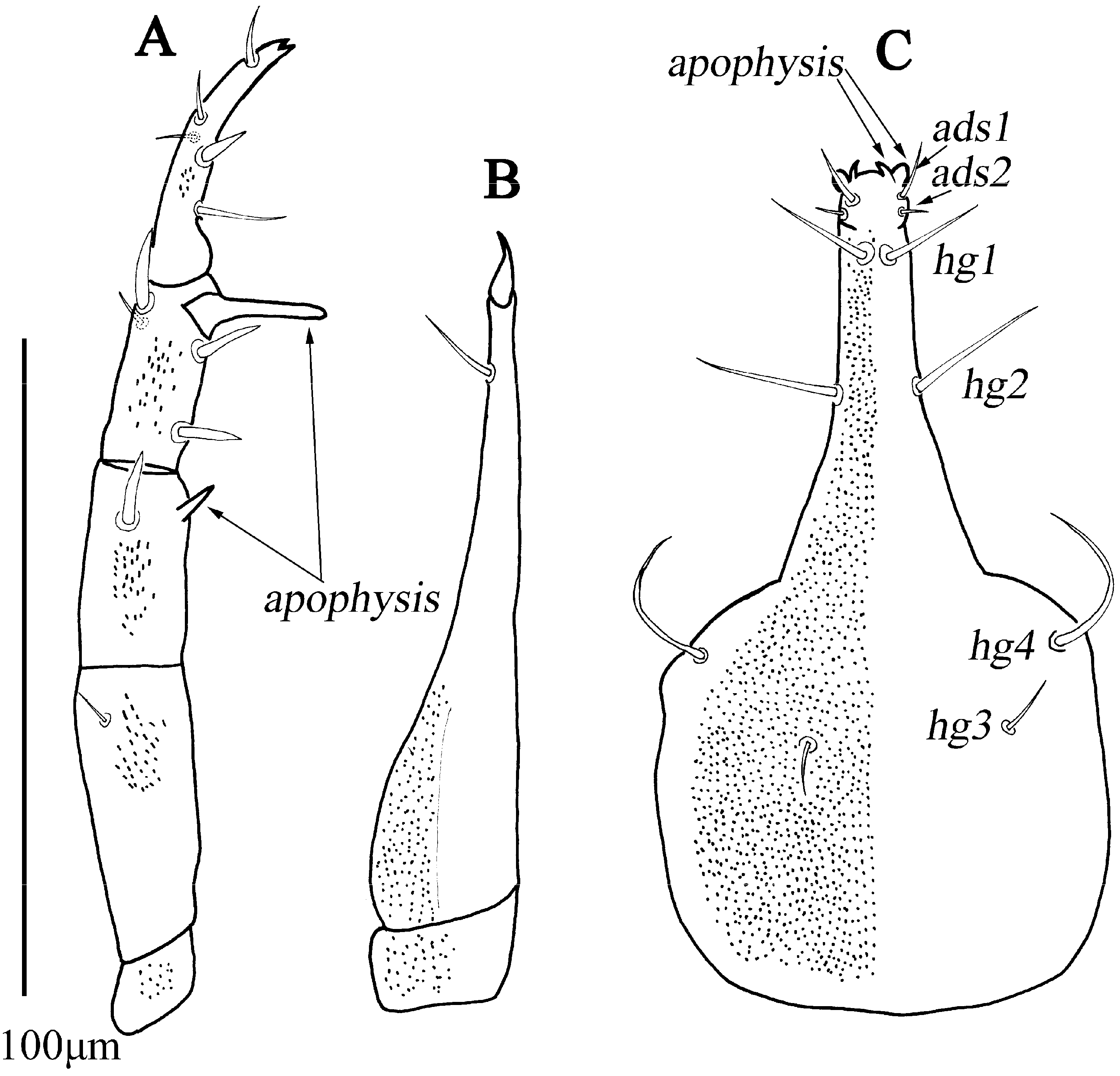 Animals 13 01363 g020