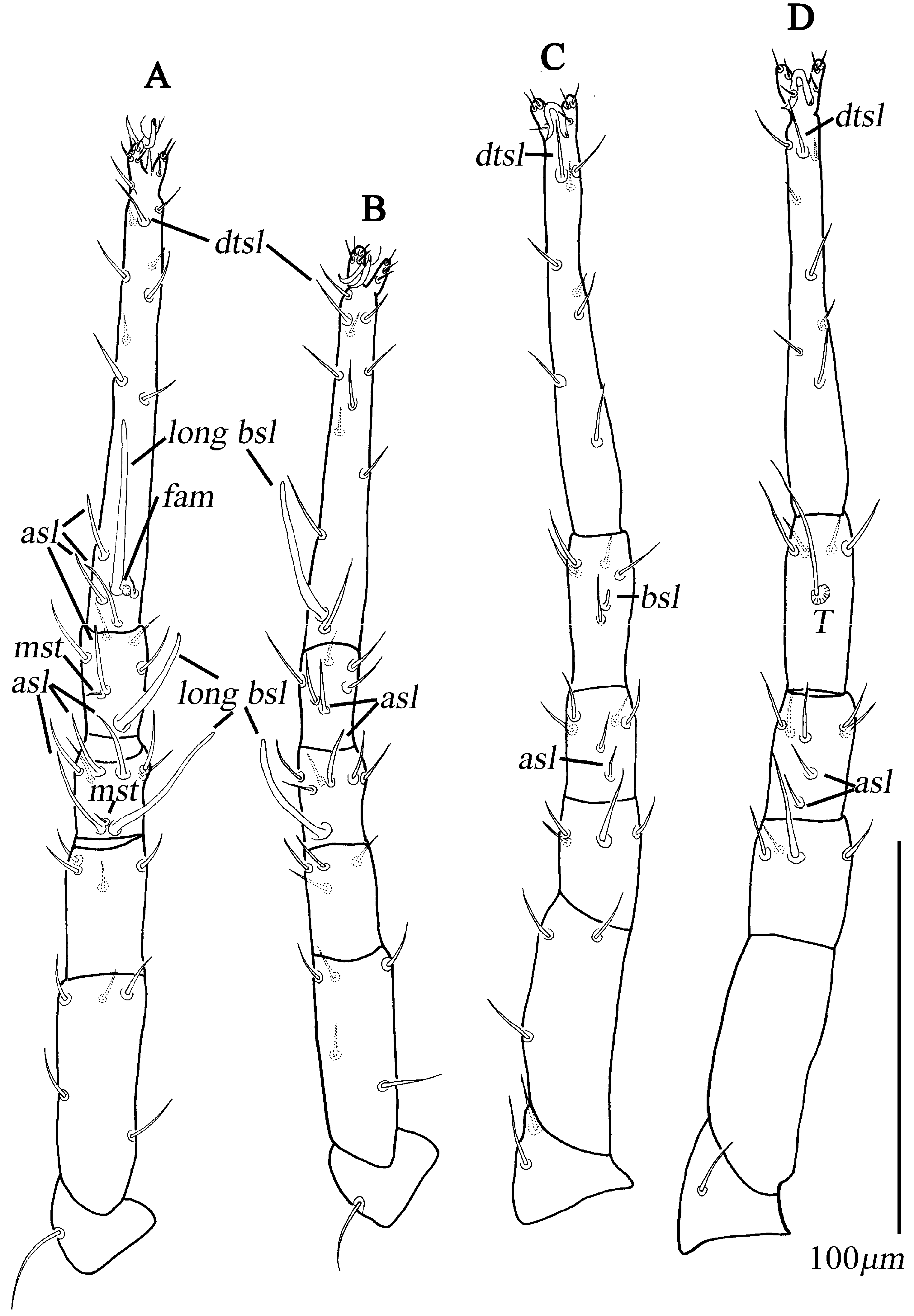 Animals 13 01363 g021