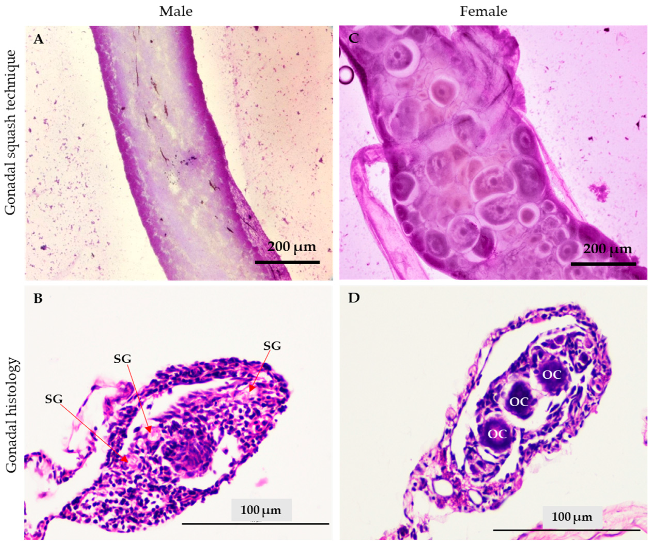 Animals 13 01364 g004