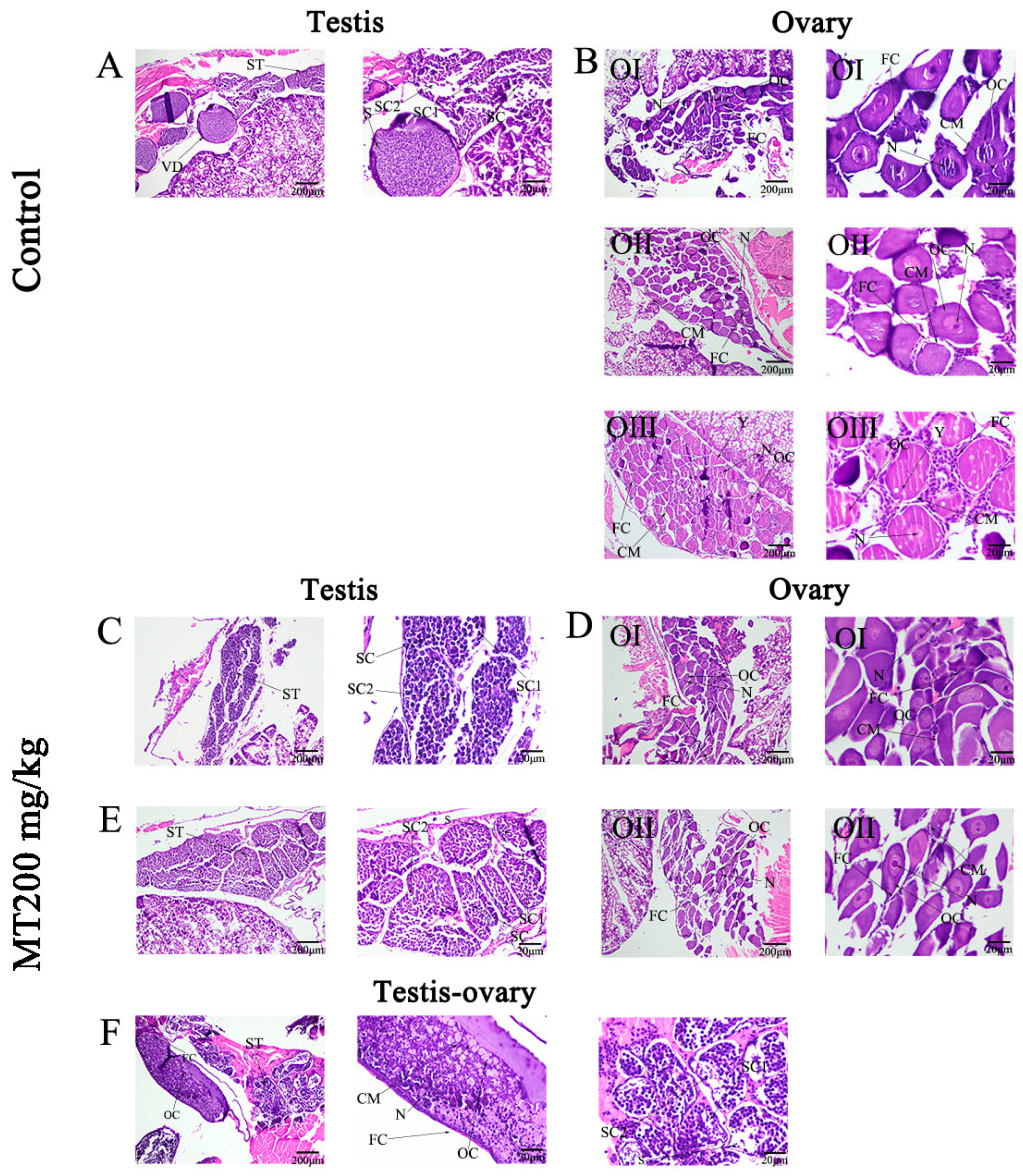 Animals 13 01369 g003