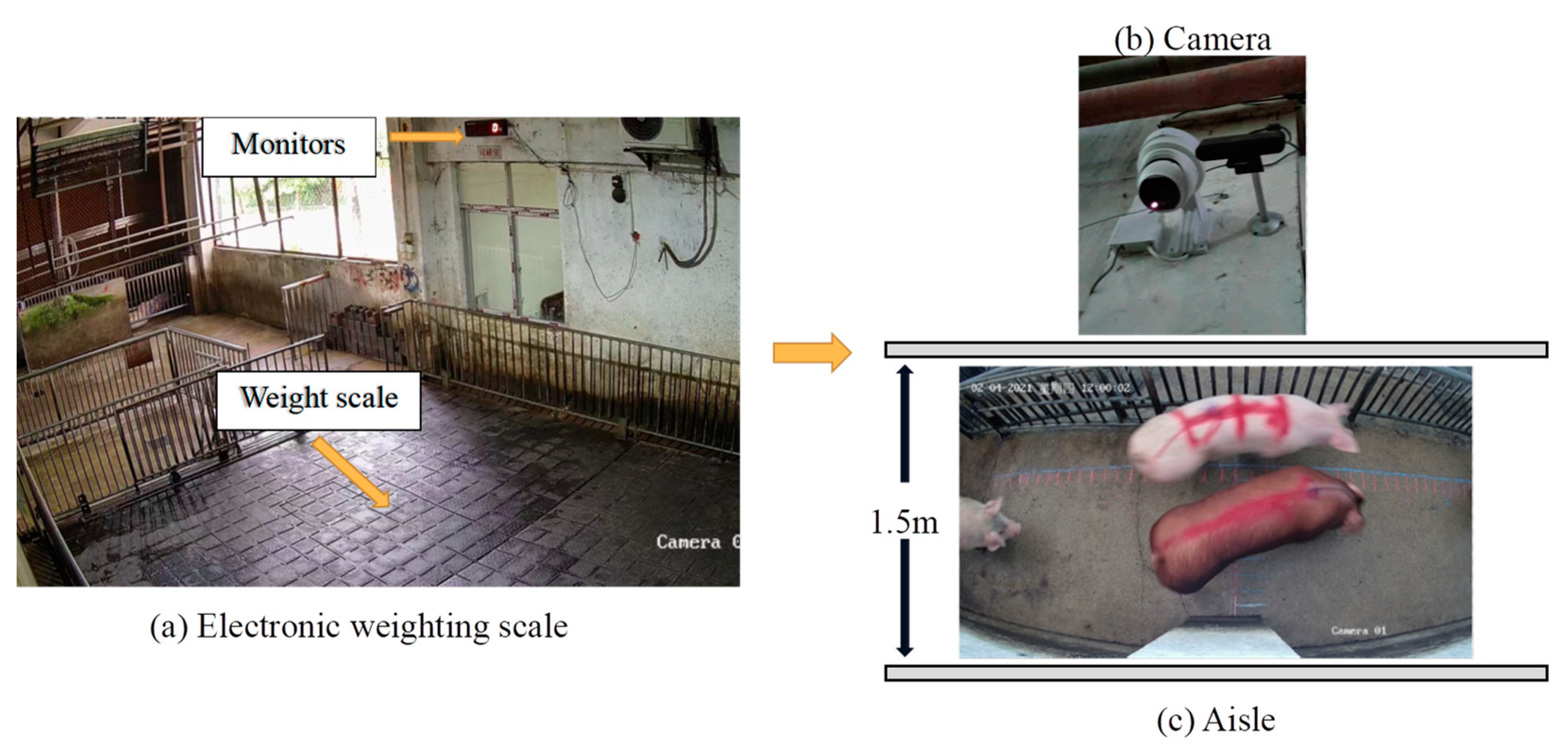 Animals 13 01376 g002