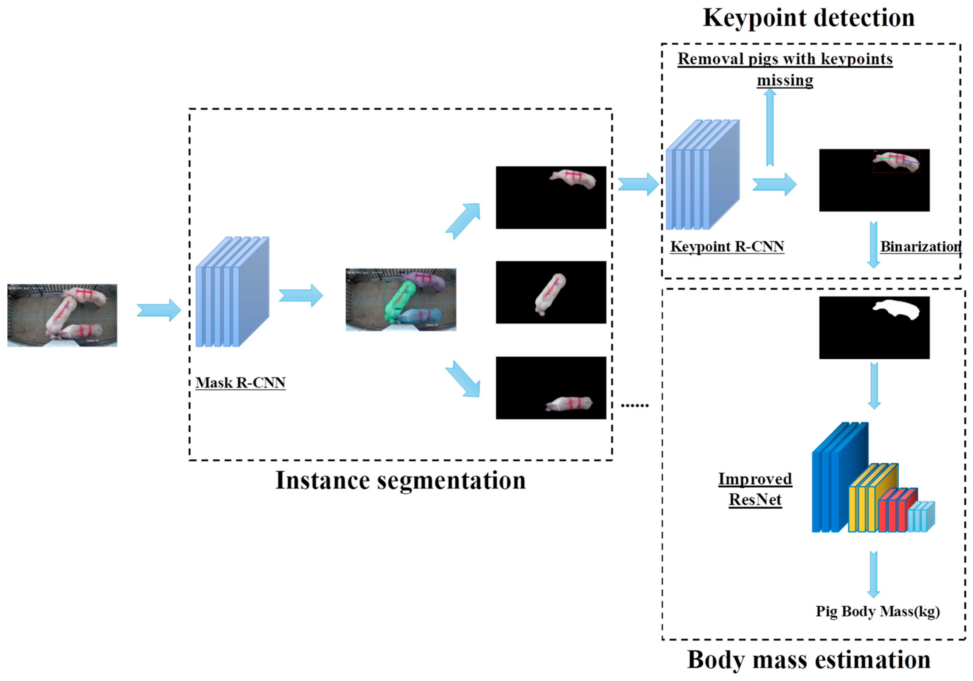 Animals 13 01376 g005