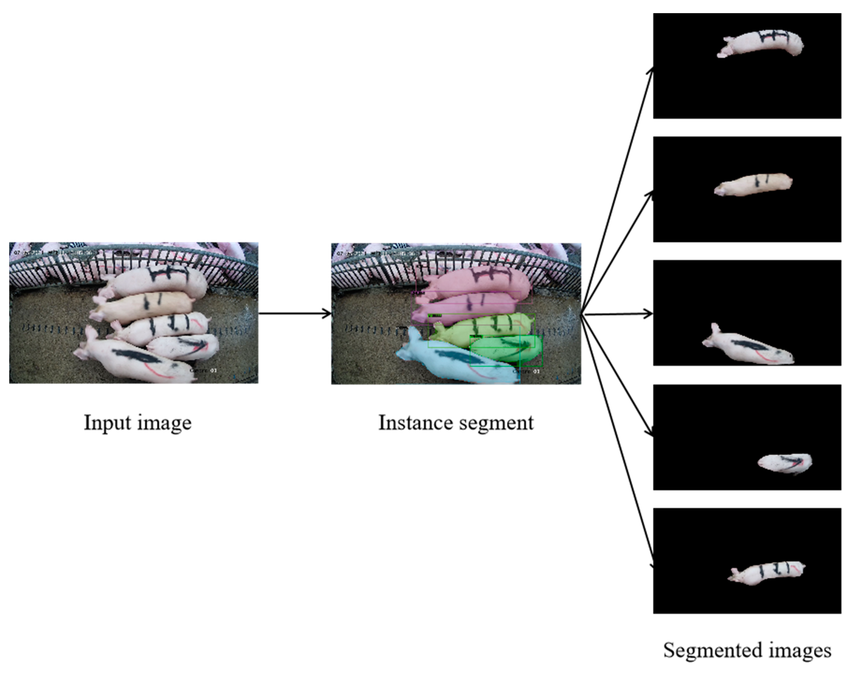 Animals 13 01376 g006