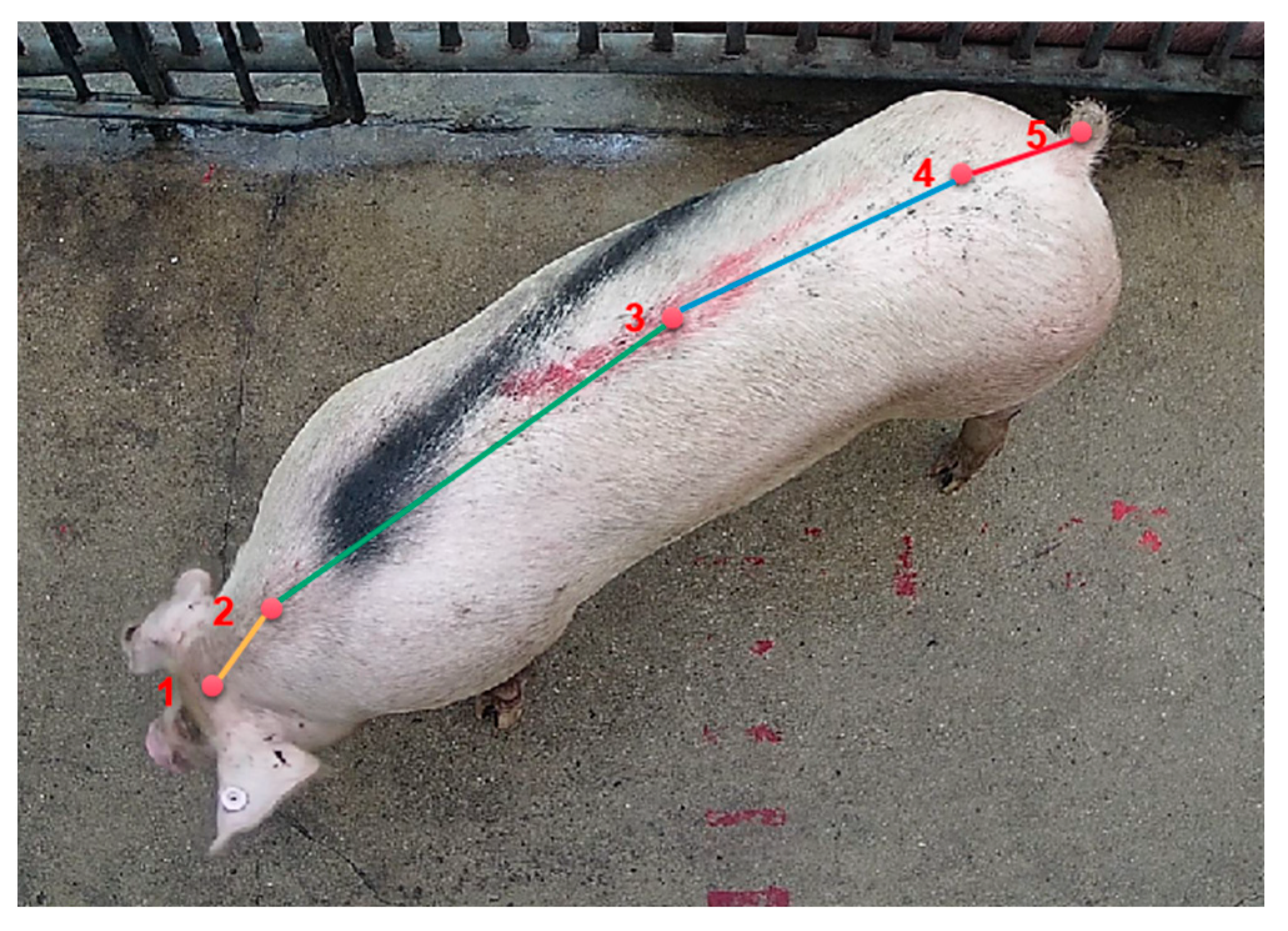 Animals 13 01376 g011