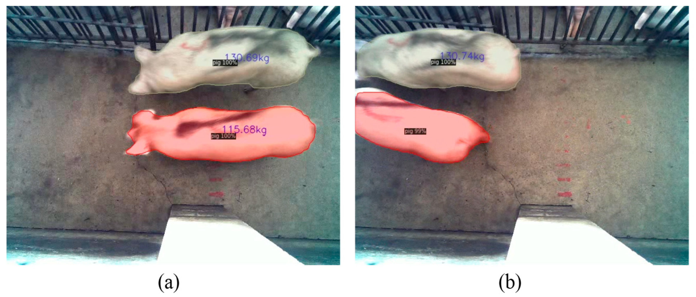 Animals 13 01376 g017