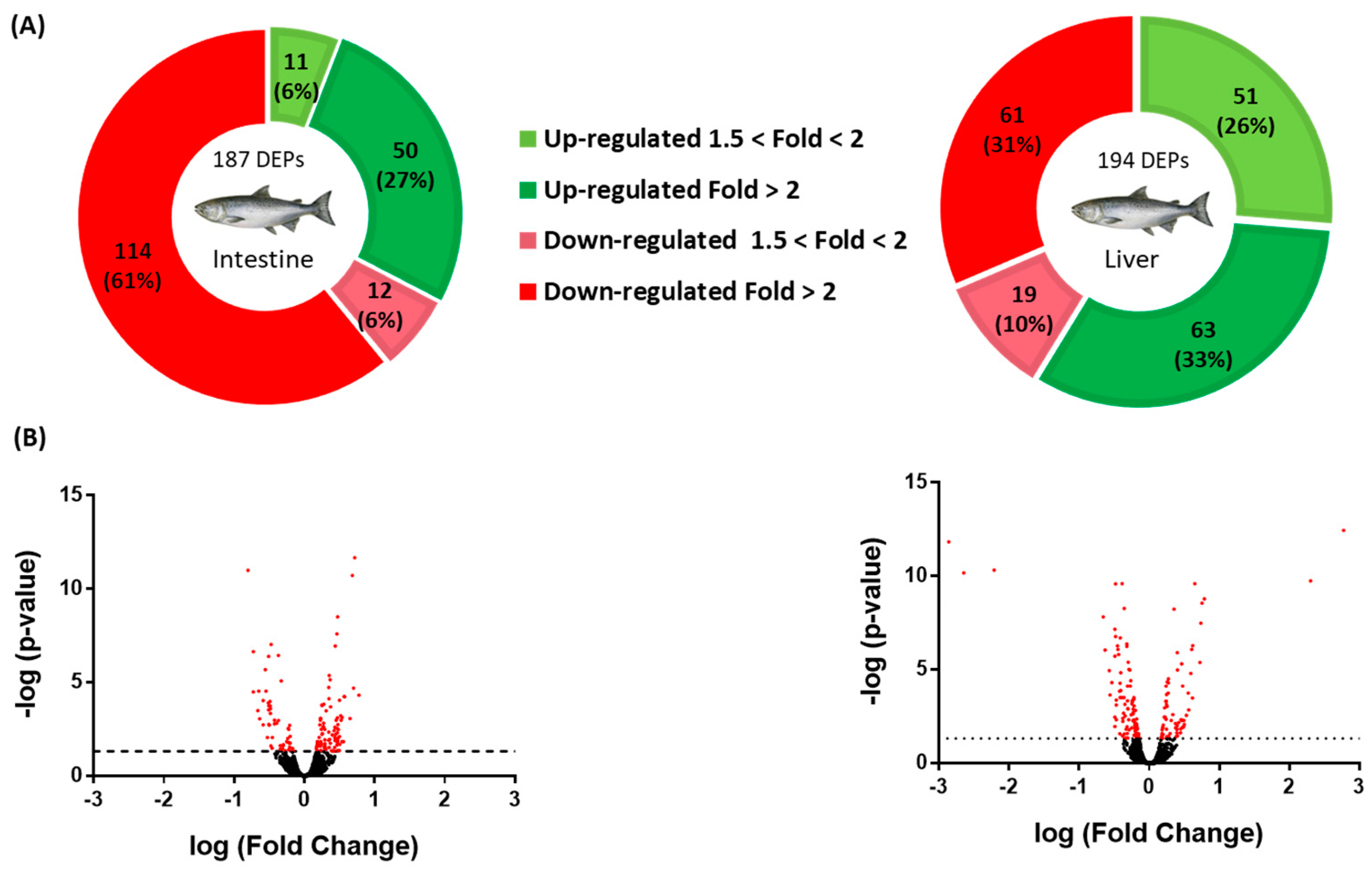 Animals 13 01381 g001