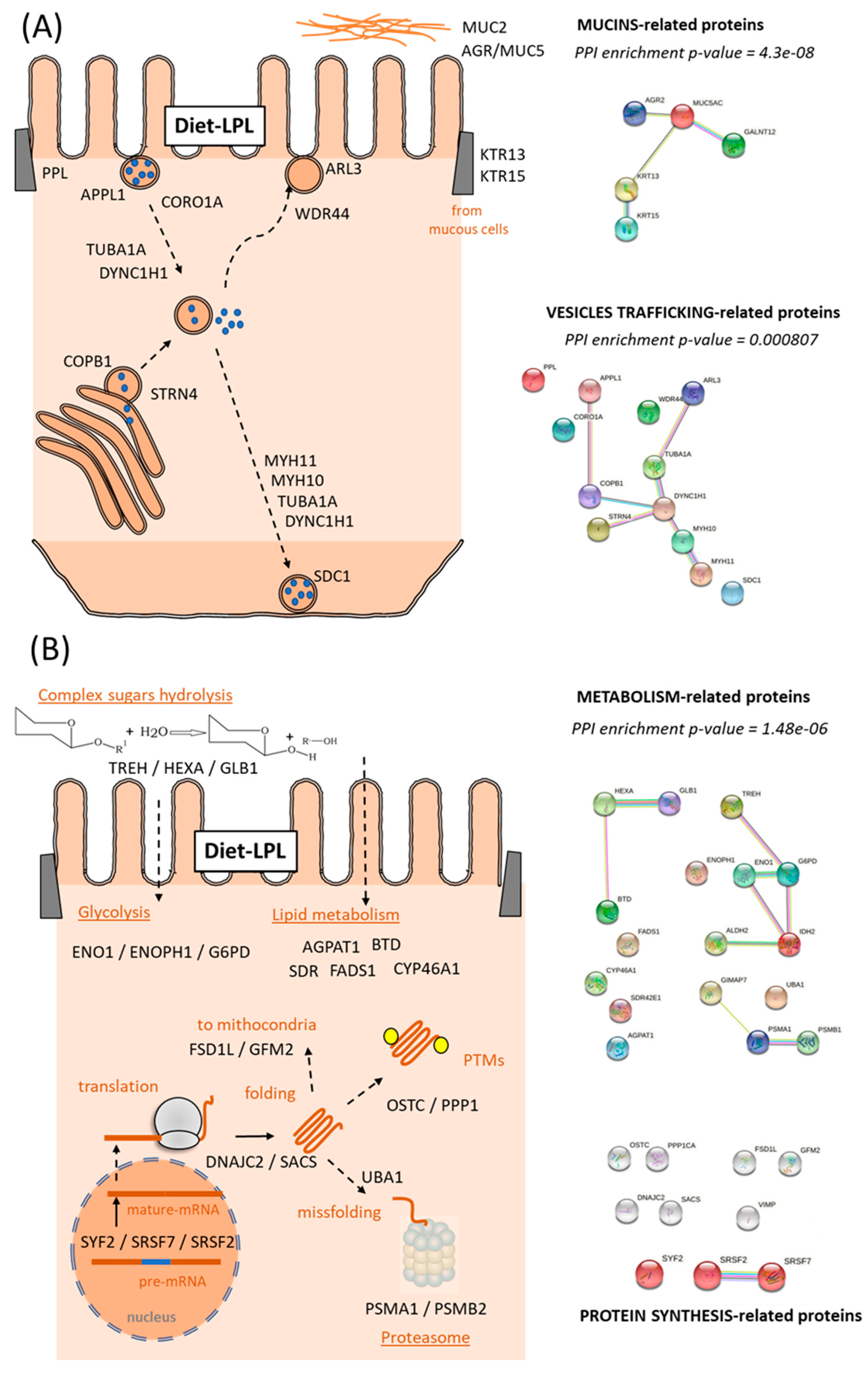 Animals 13 01381 g004