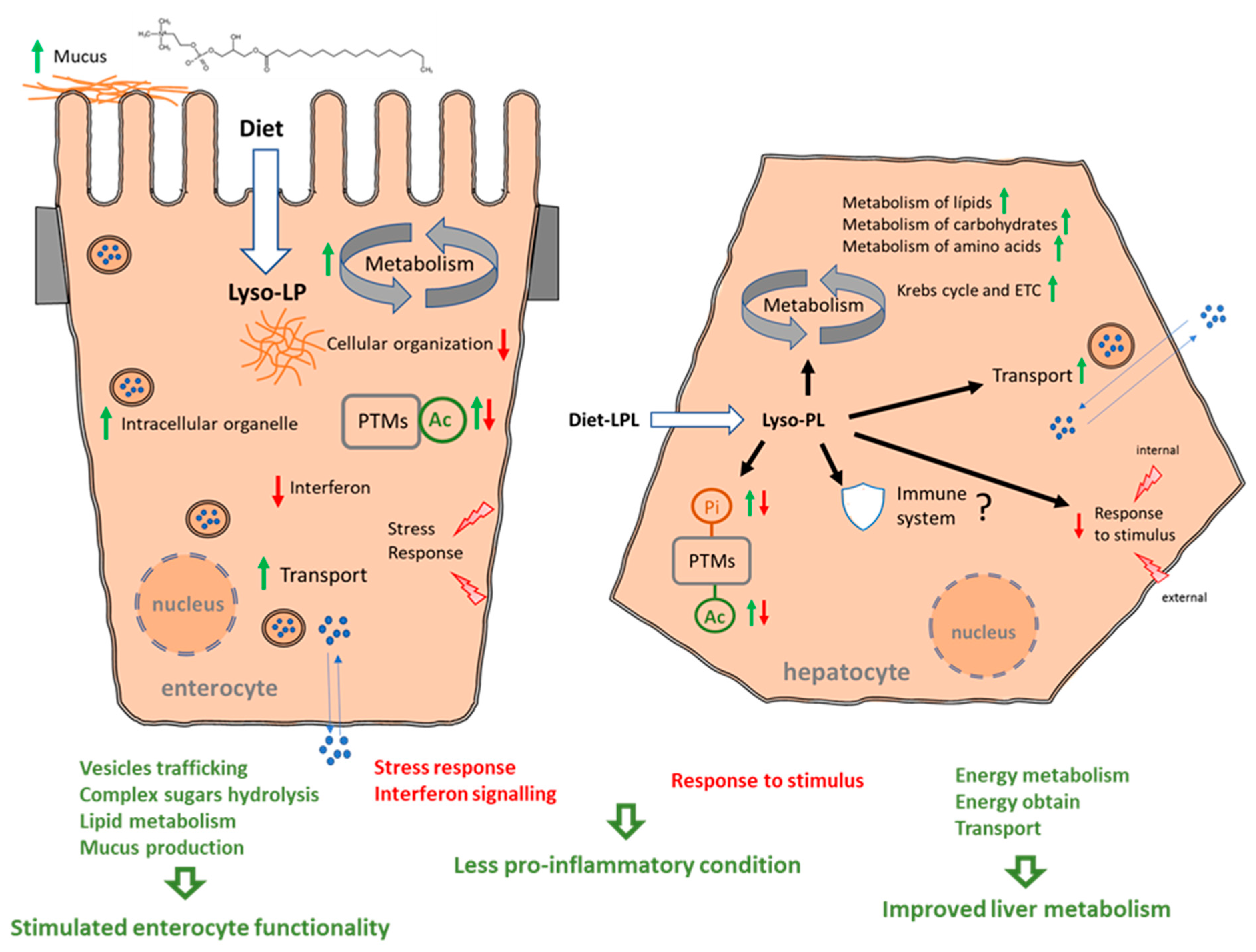 Animals 13 01381 g009