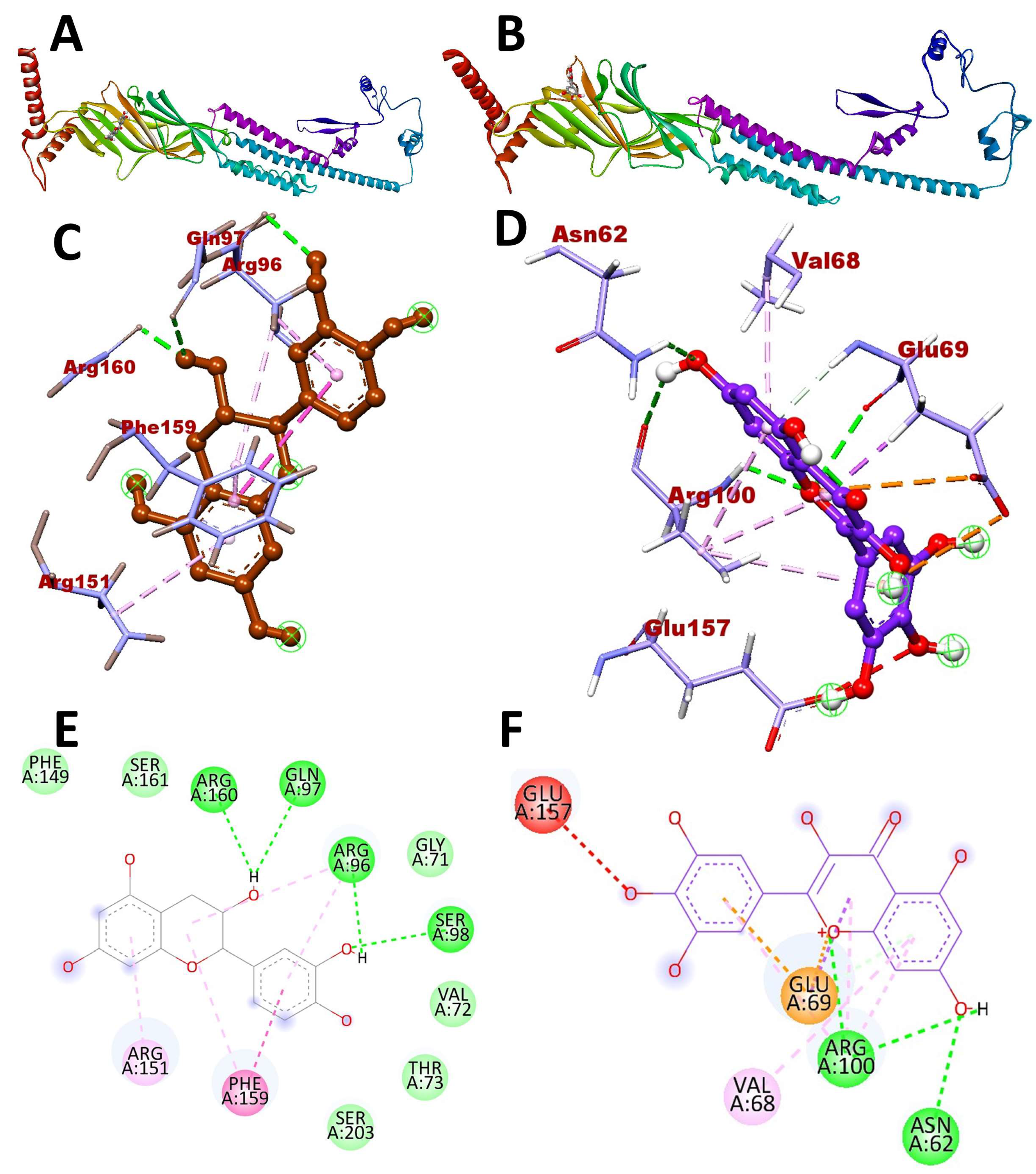 Animals 13 01388 g003