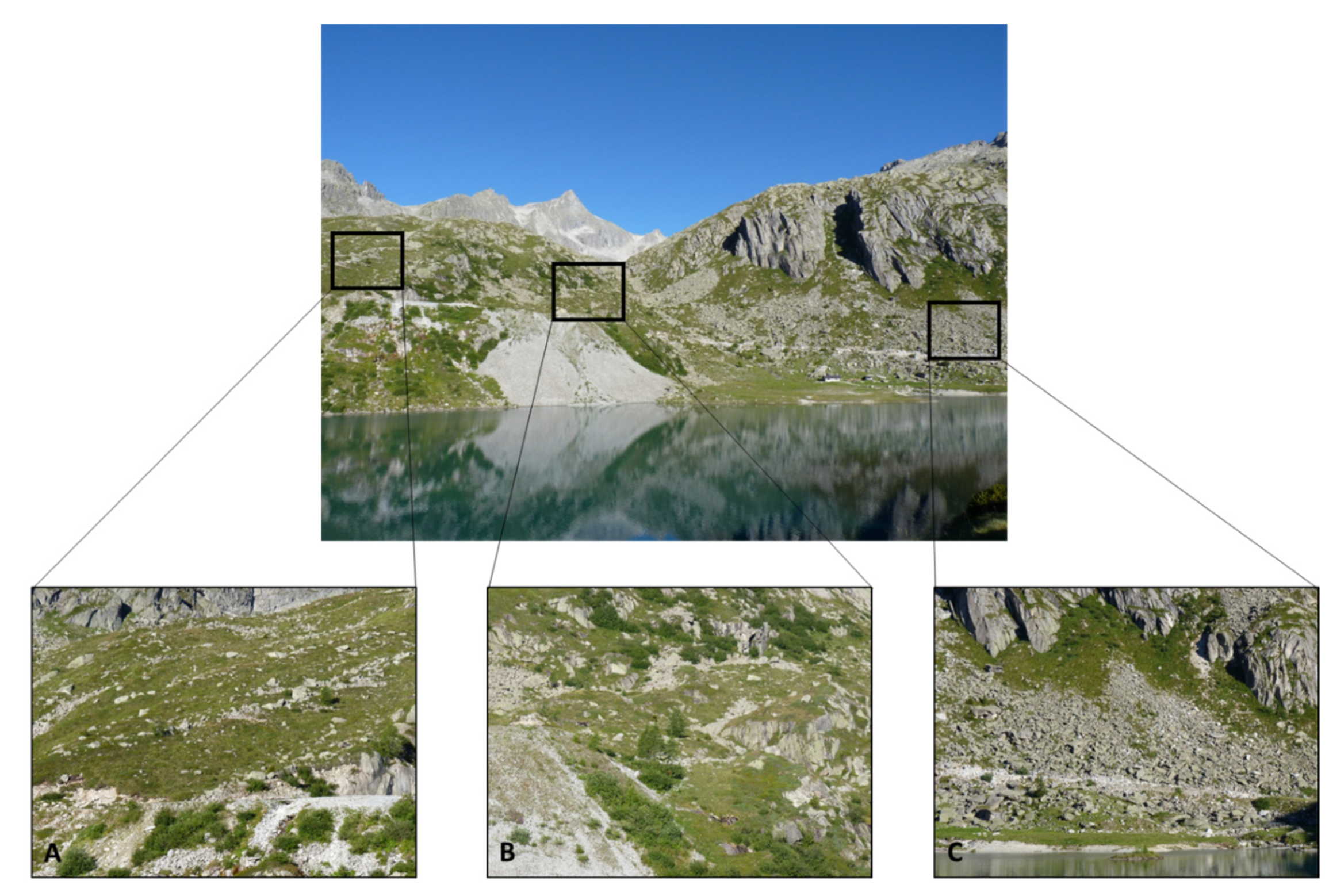 Animals 13 01407 g001