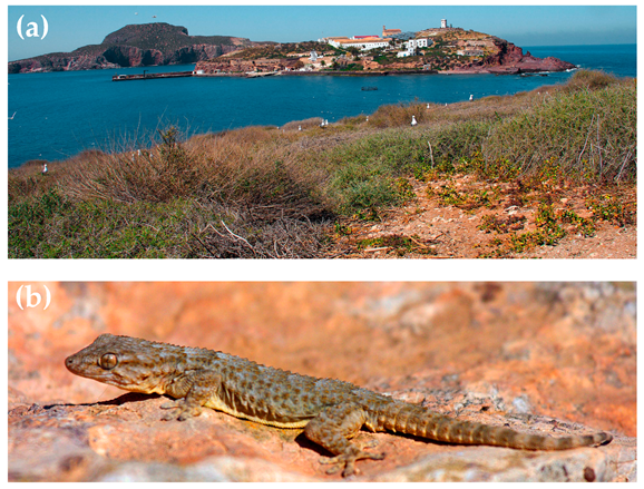 Animals 13 01413 g001