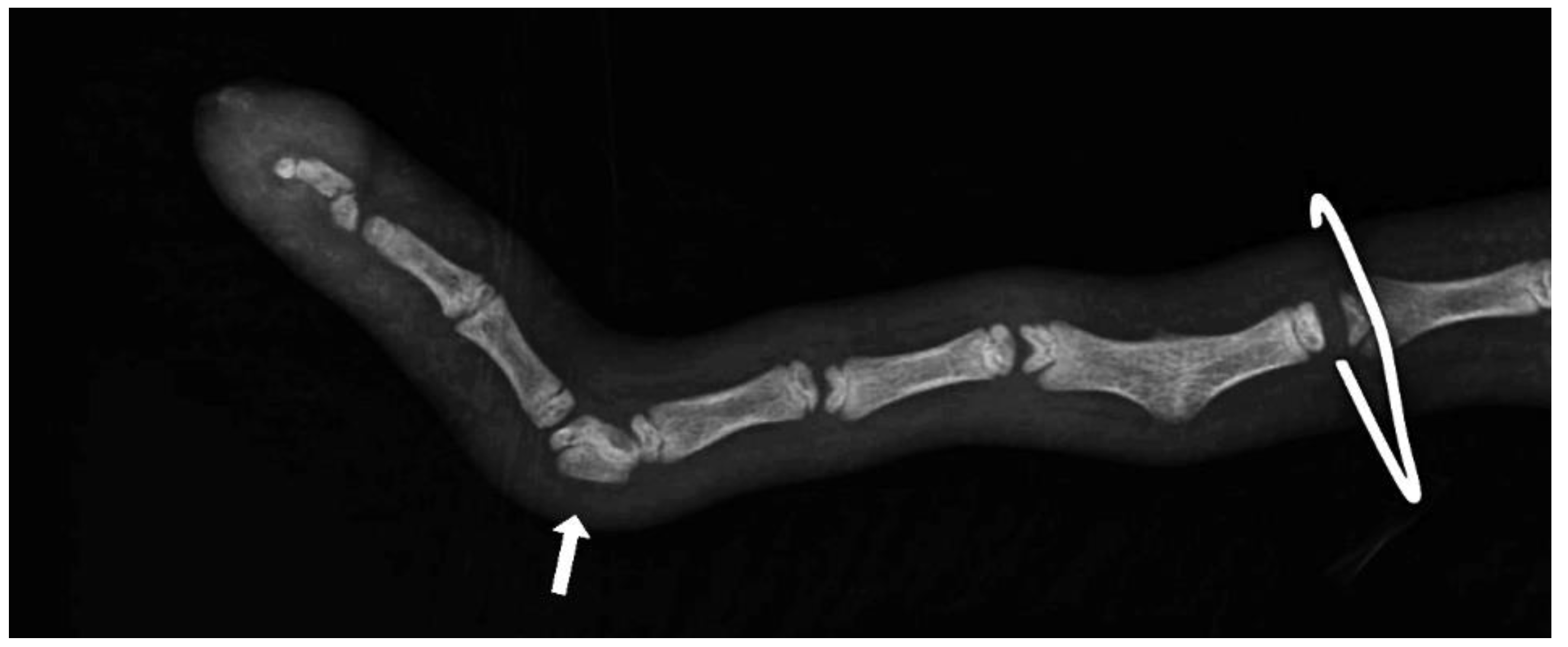 Animals 13 01419 g003