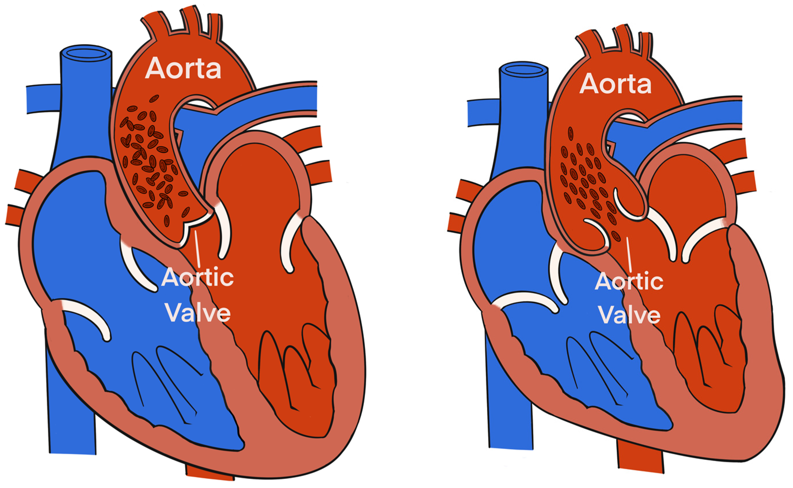 Animals 13 01420 g002 Animals 13 01420 g002