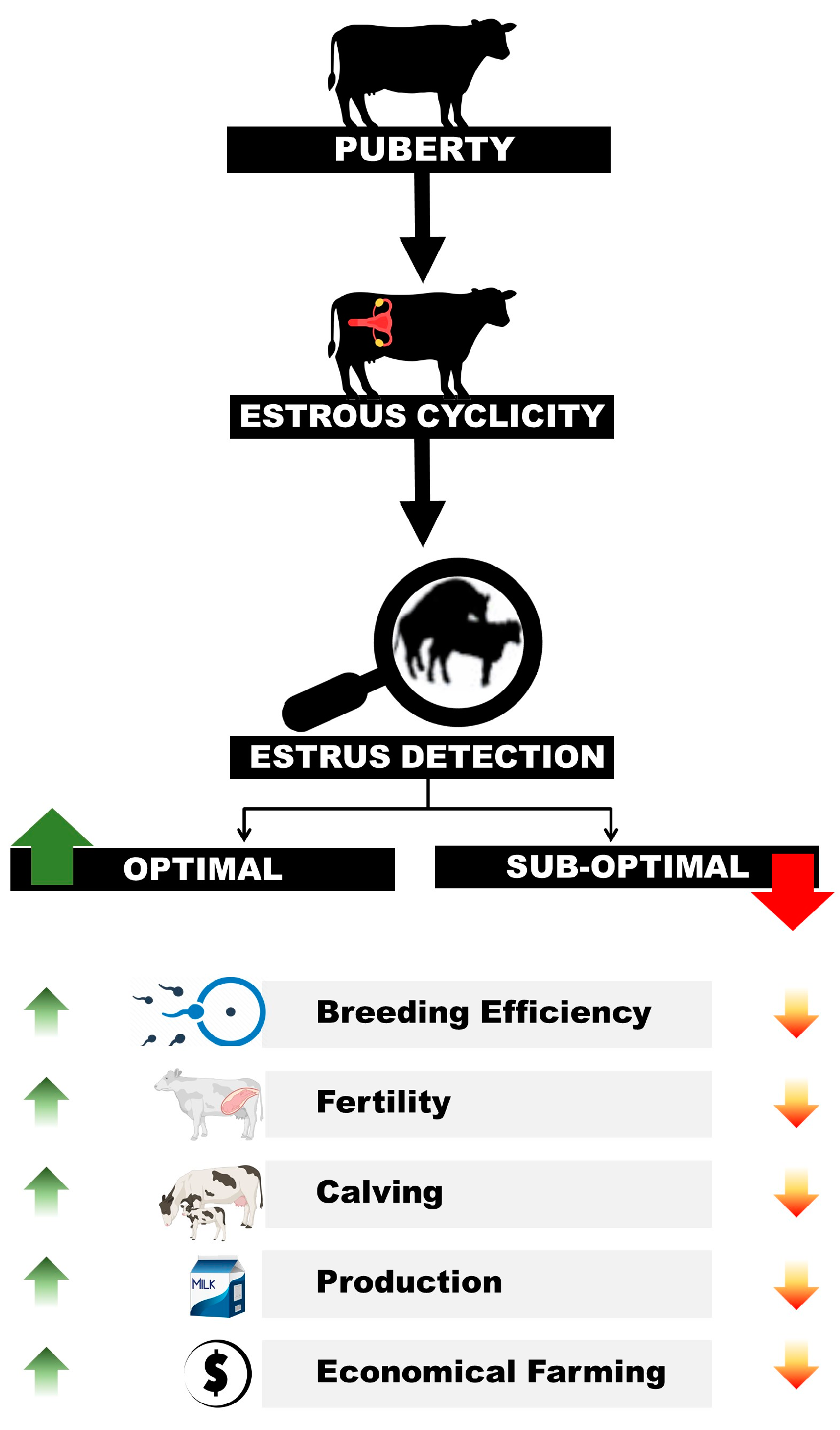 Animals 13 01425 g001