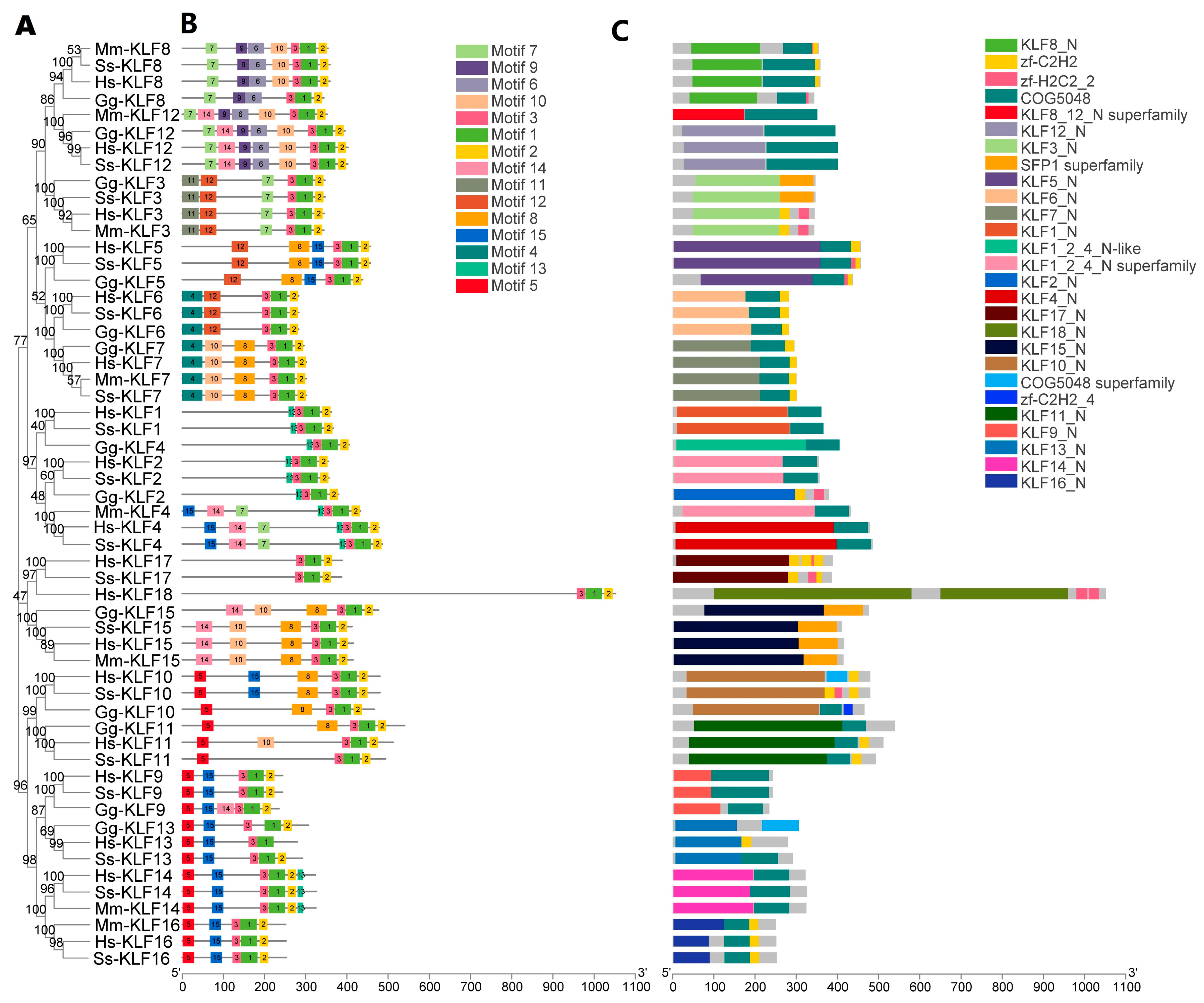 Animals 13 01429 g003