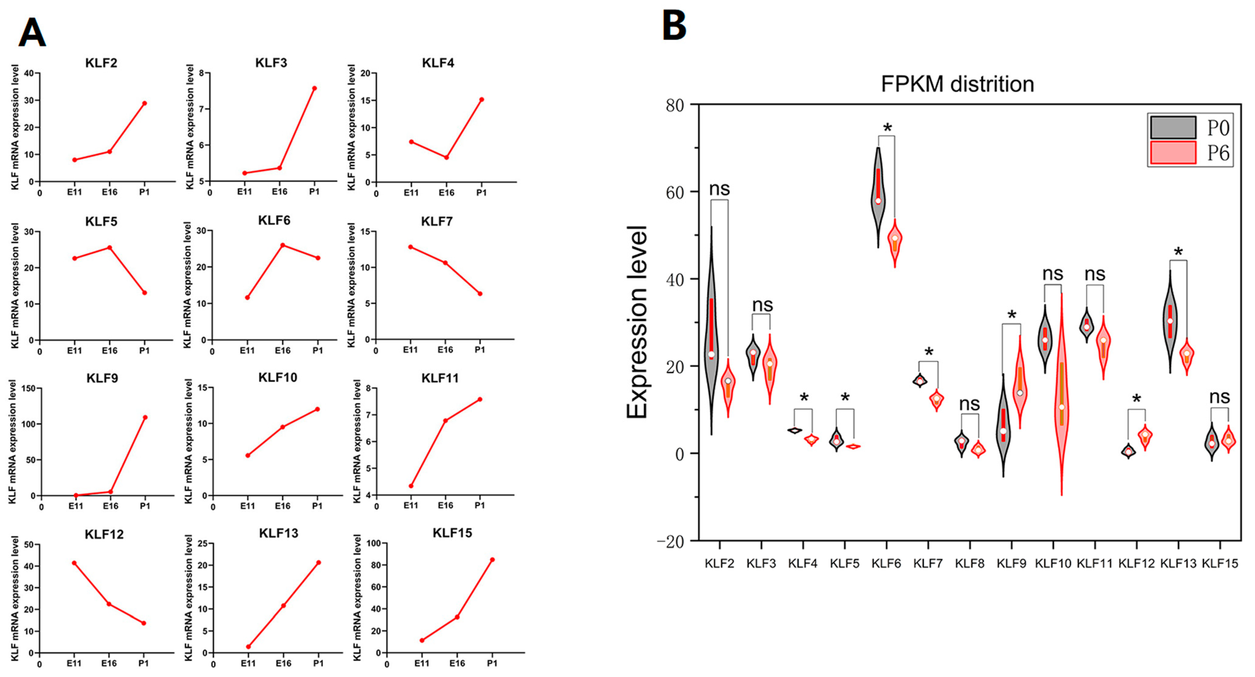 Animals 13 01429 g008