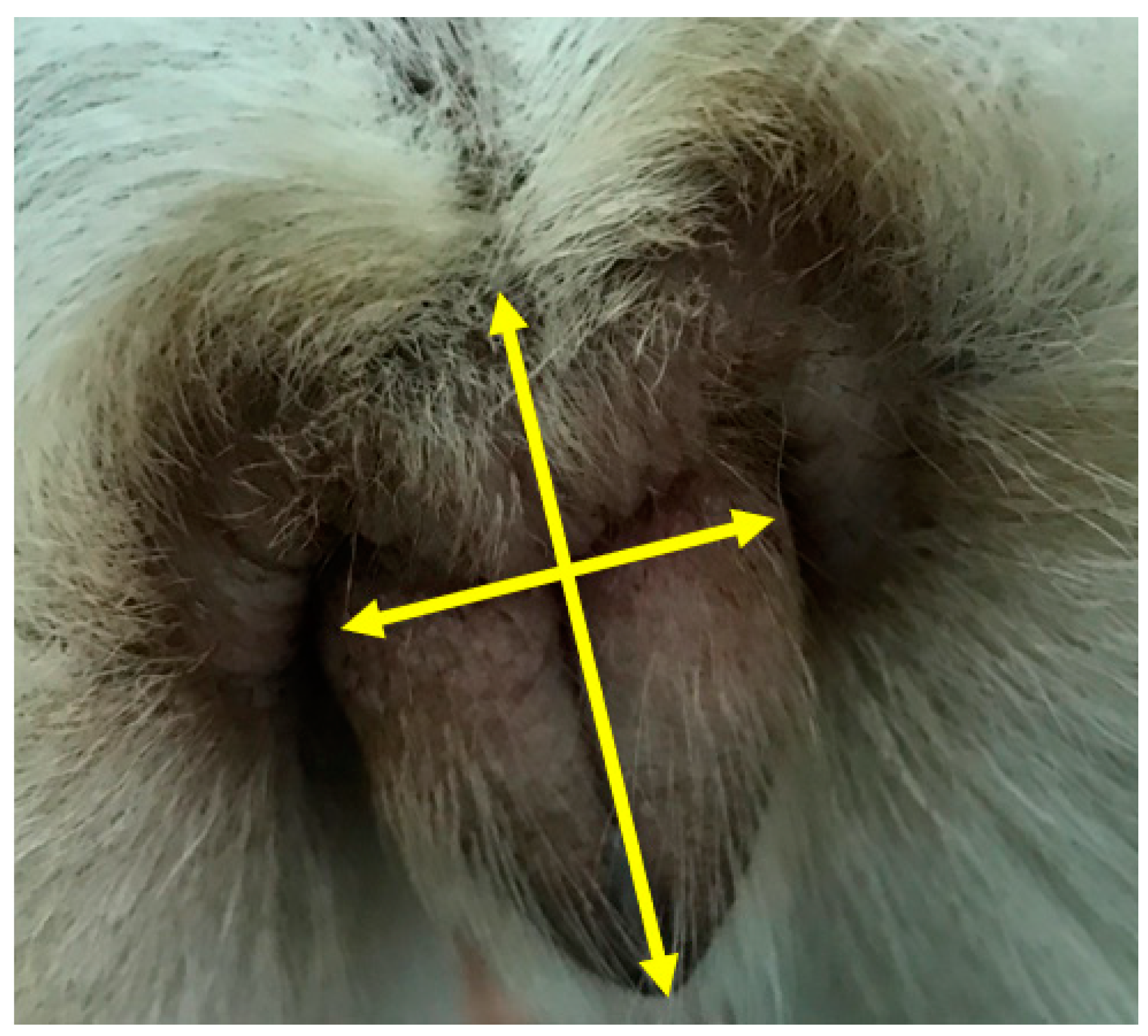 Animals 13 01431 g001