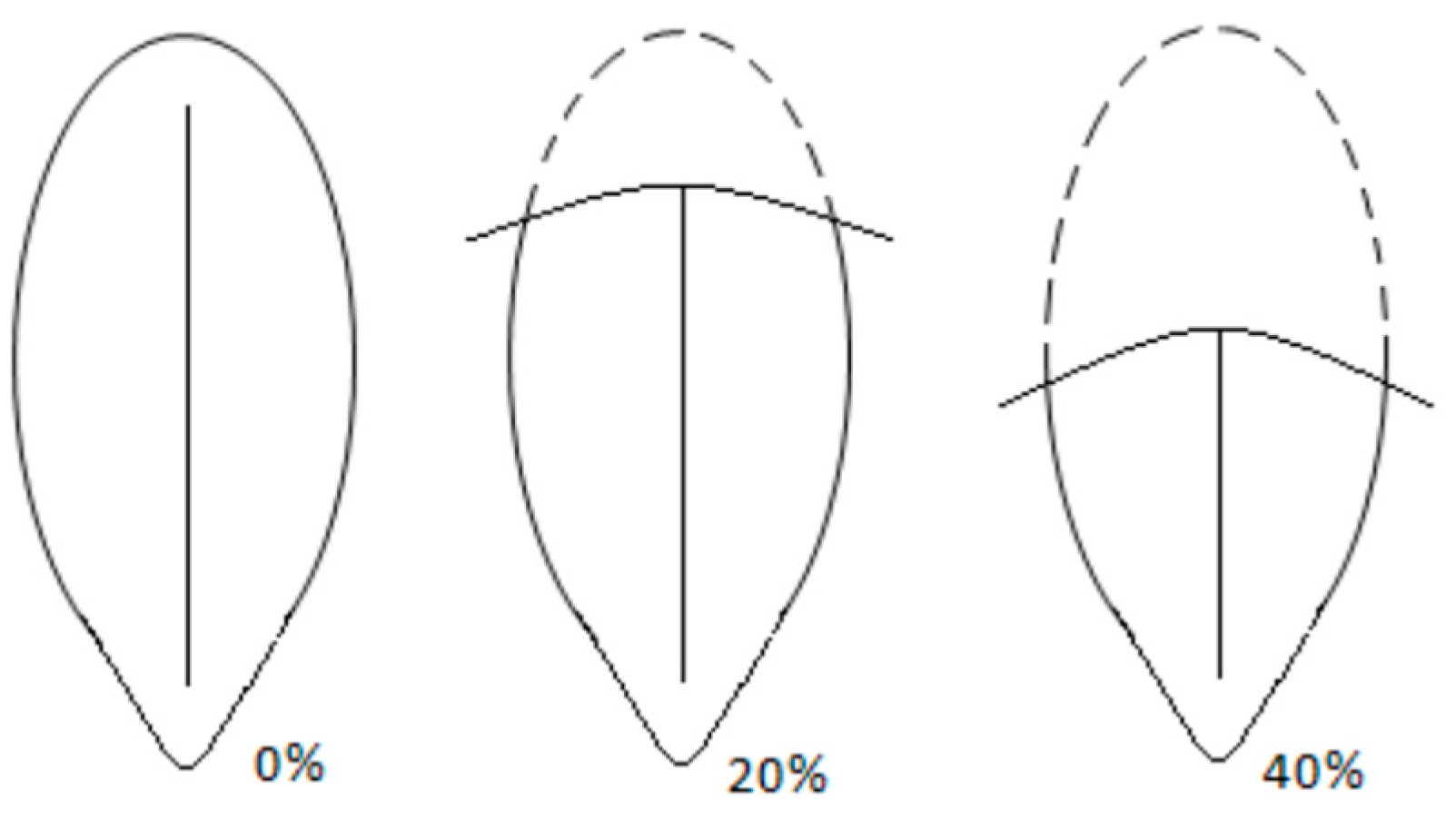 Animals 13 01431 g002