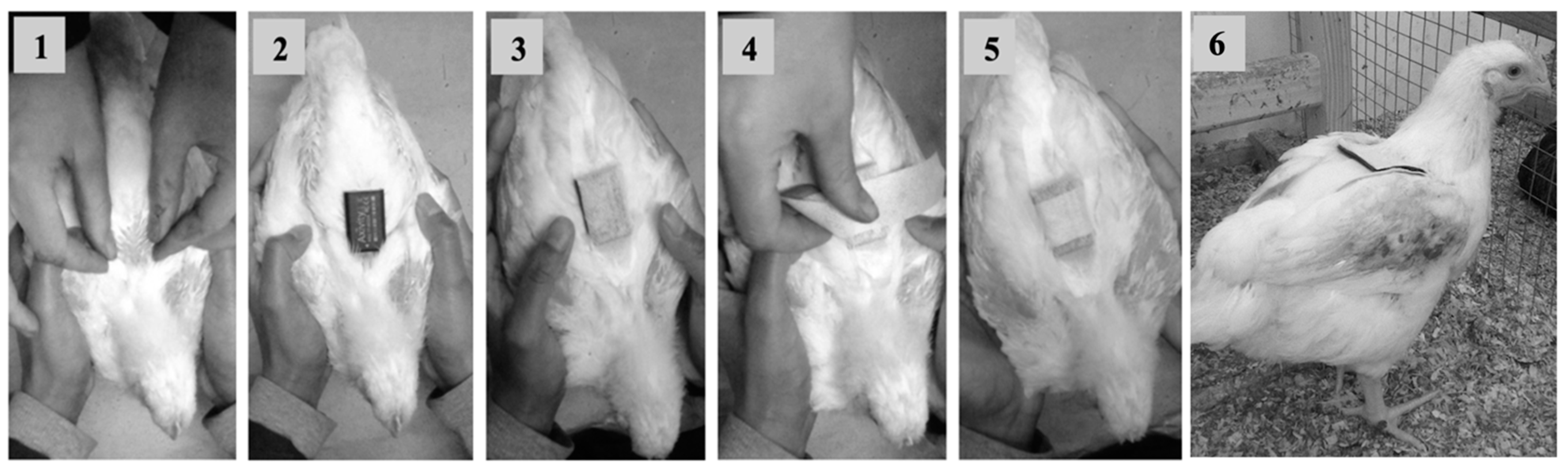 Animals 13 01432 g001