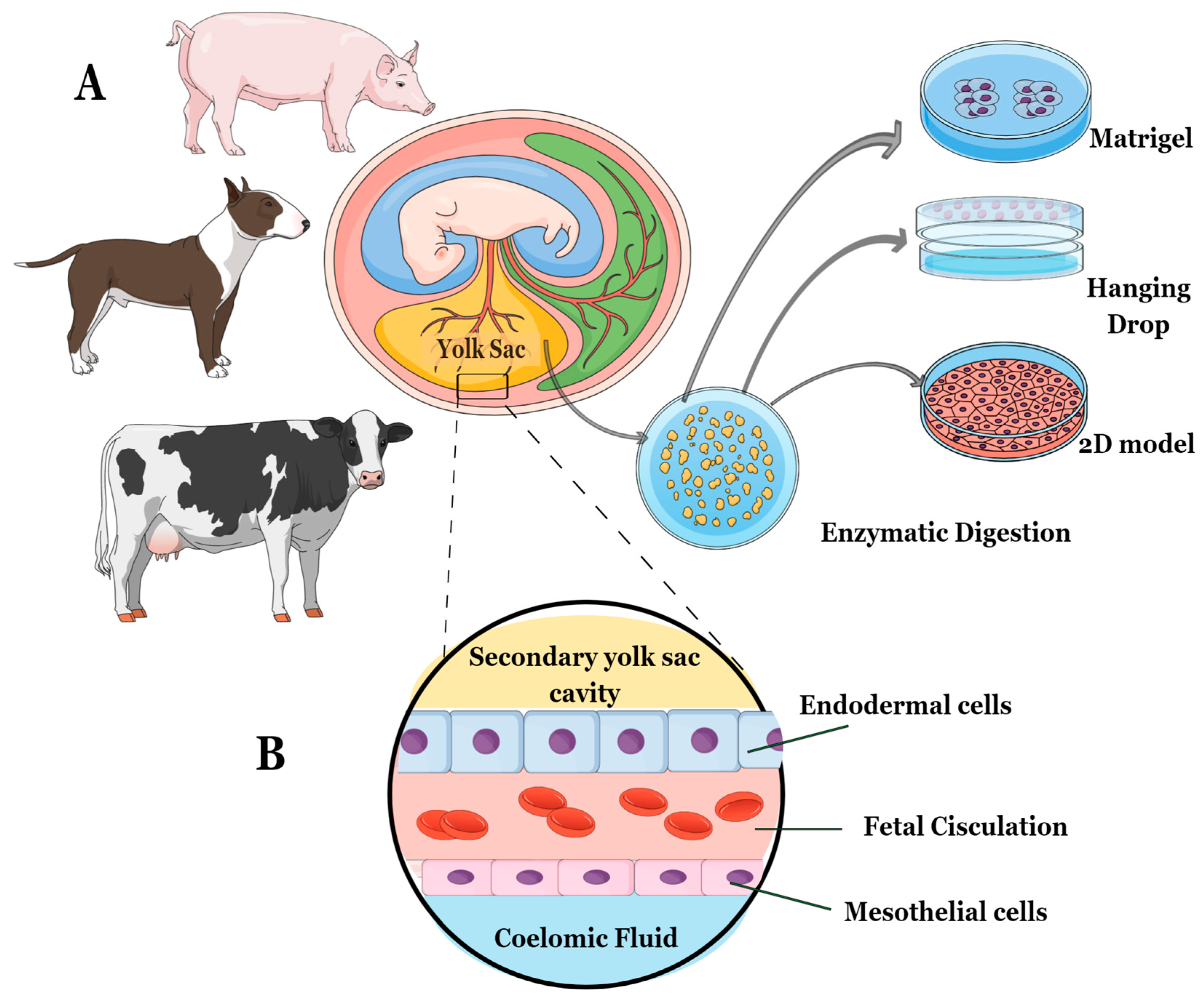 Animals 13 01435 g001