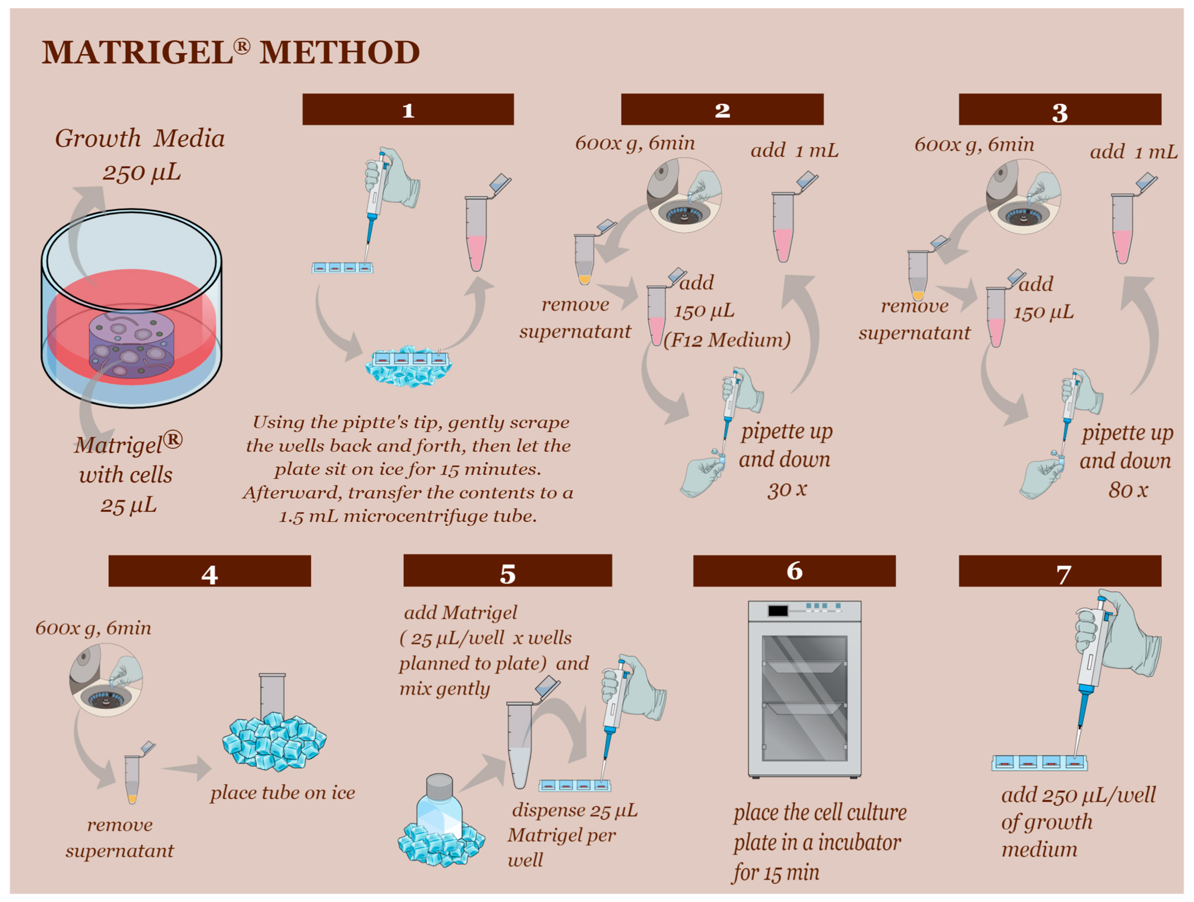 Animals 13 01435 g002