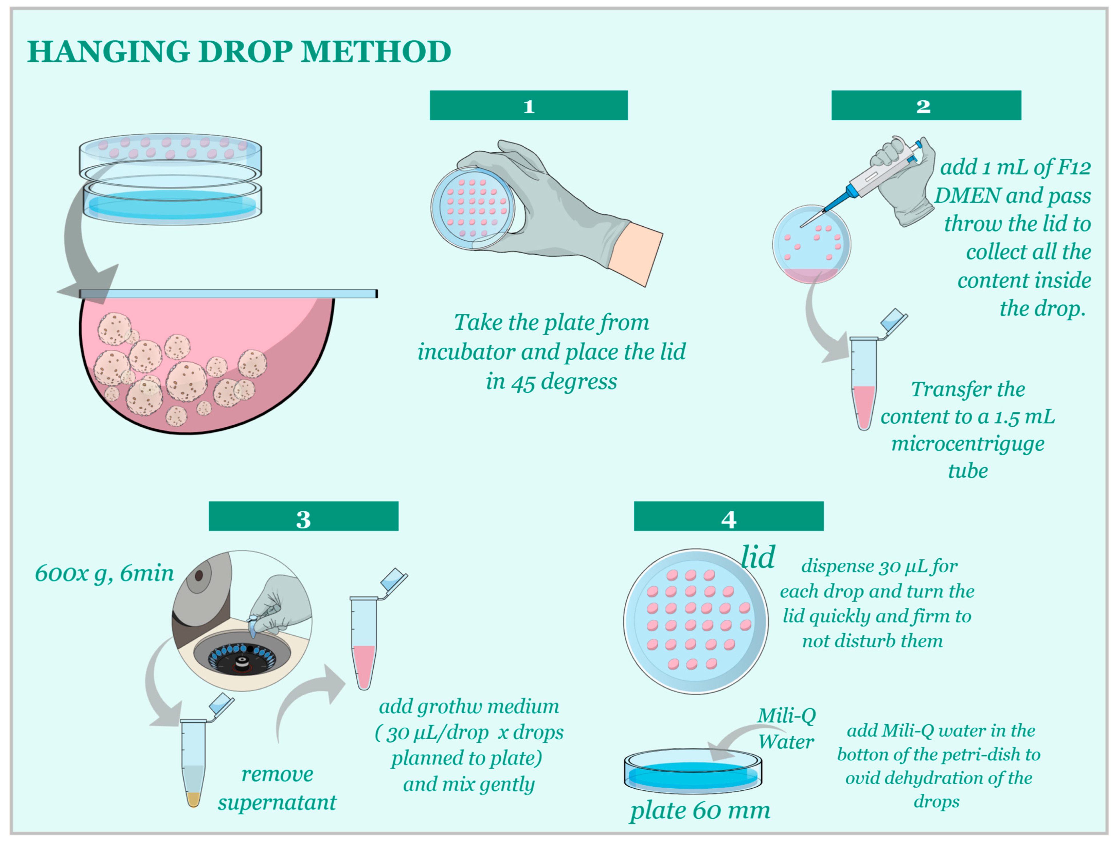 Animals 13 01435 g003