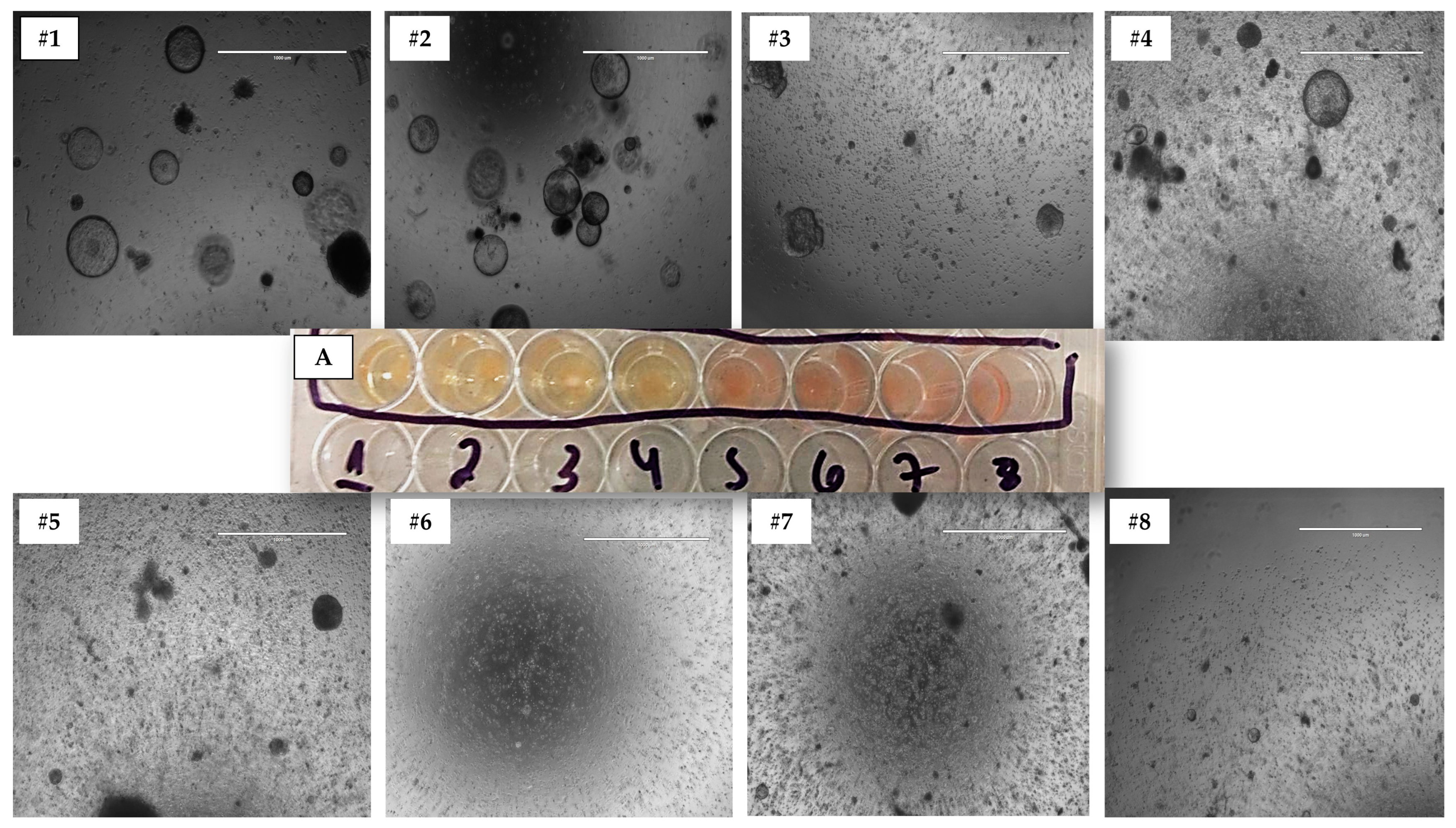 Animals 13 01435 g004