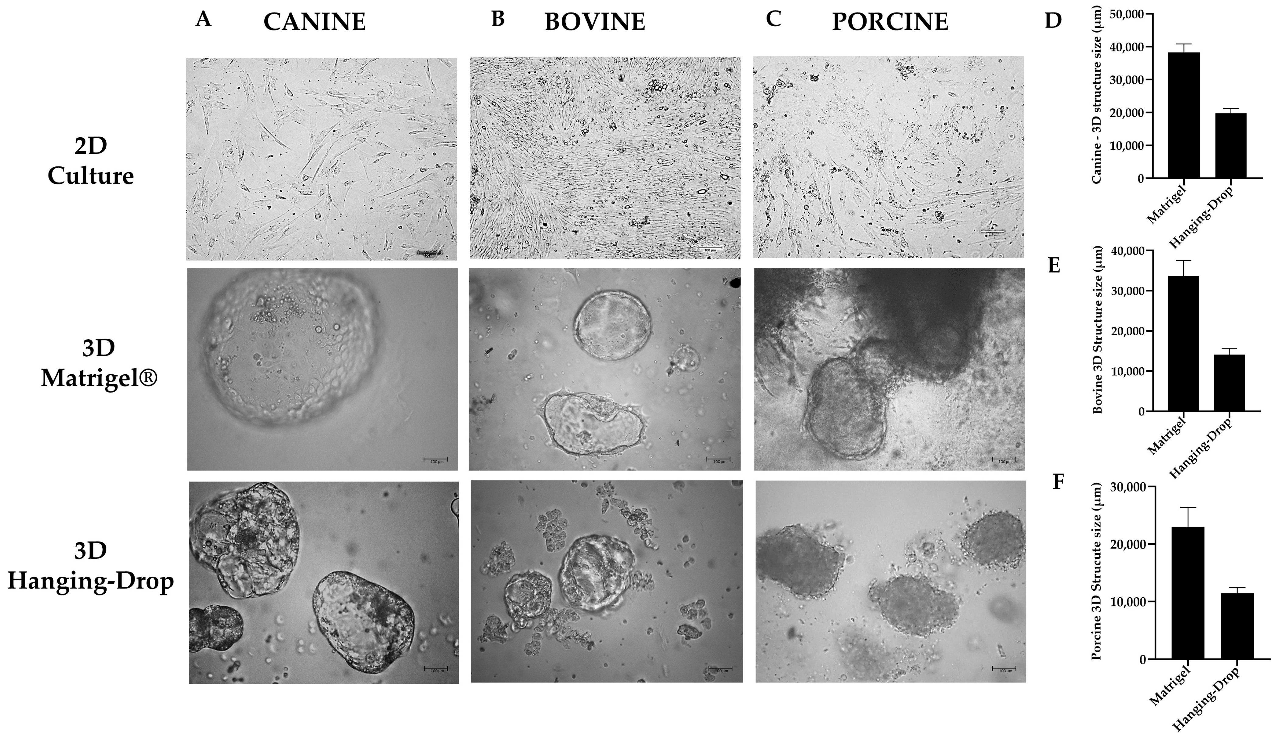 Animals 13 01435 g005