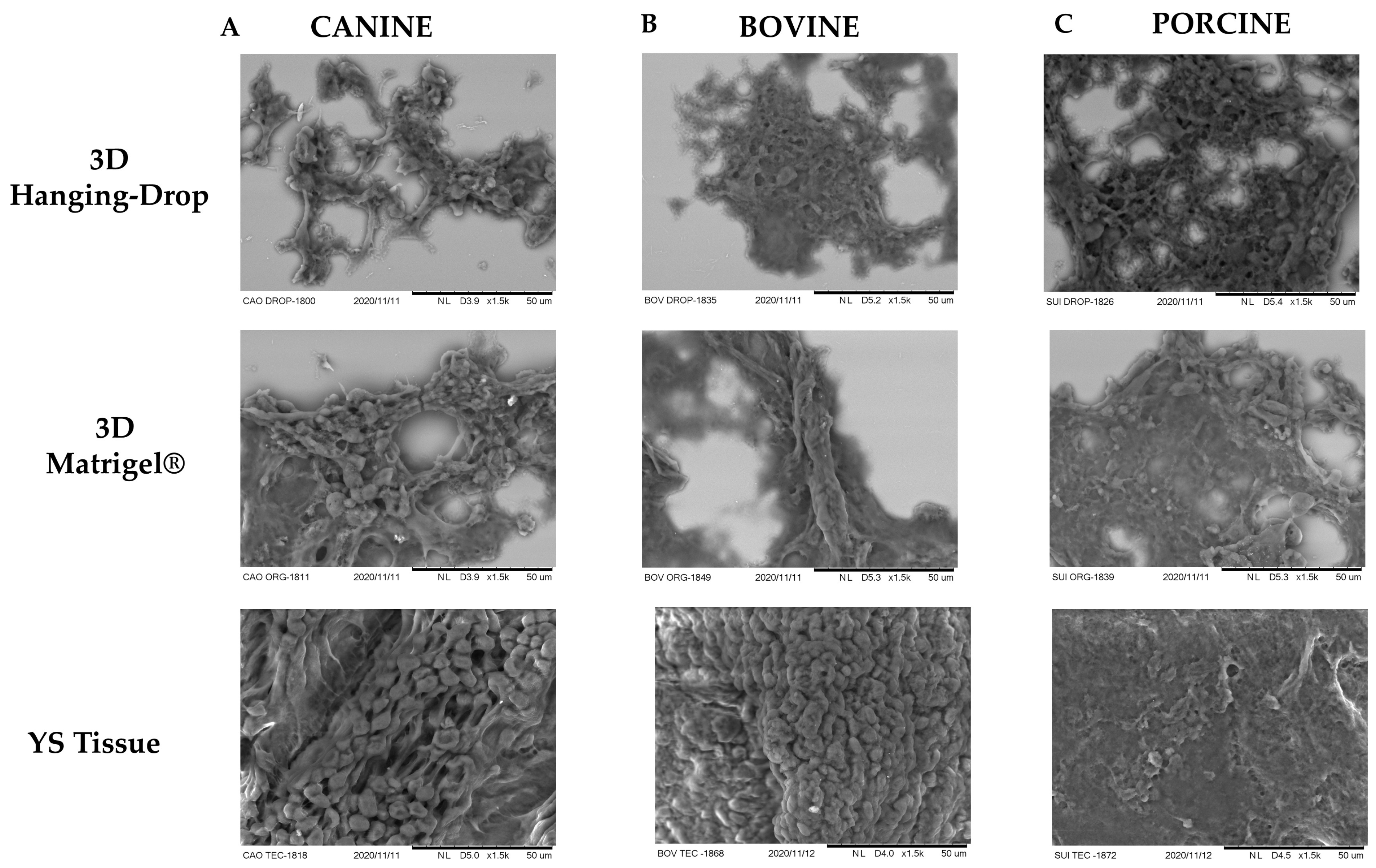 Animals 13 01435 g006