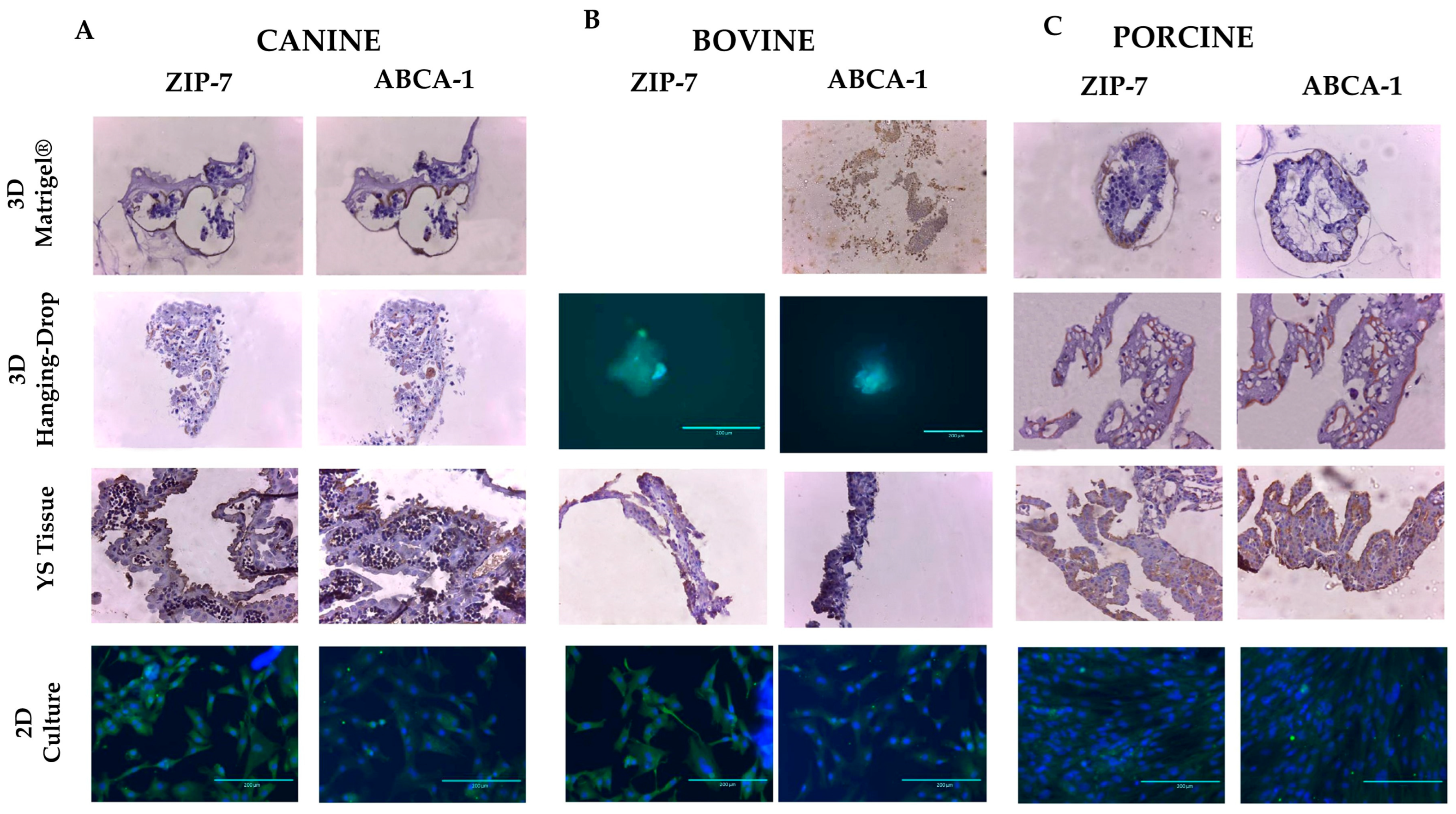 Animals 13 01435 g007