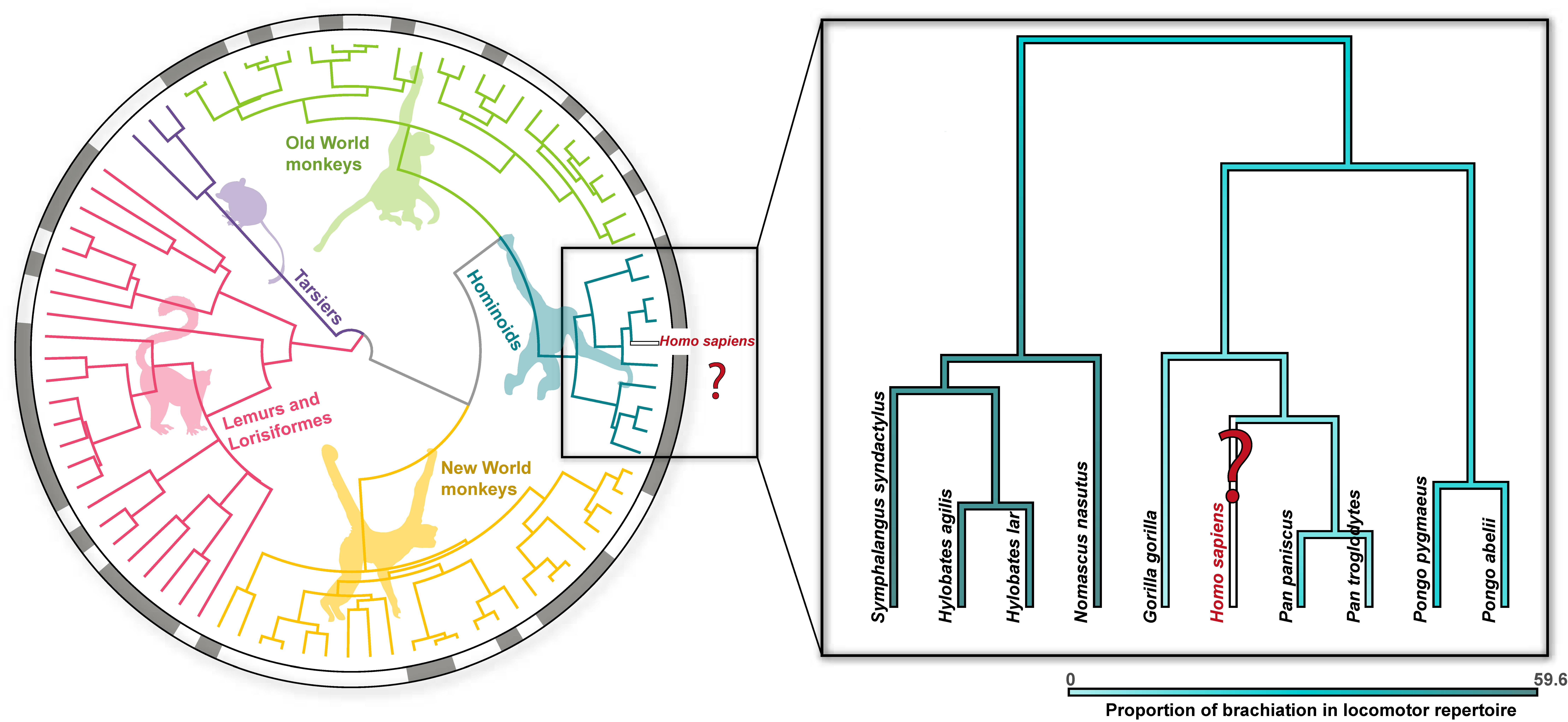 Animals 13 01438 g001