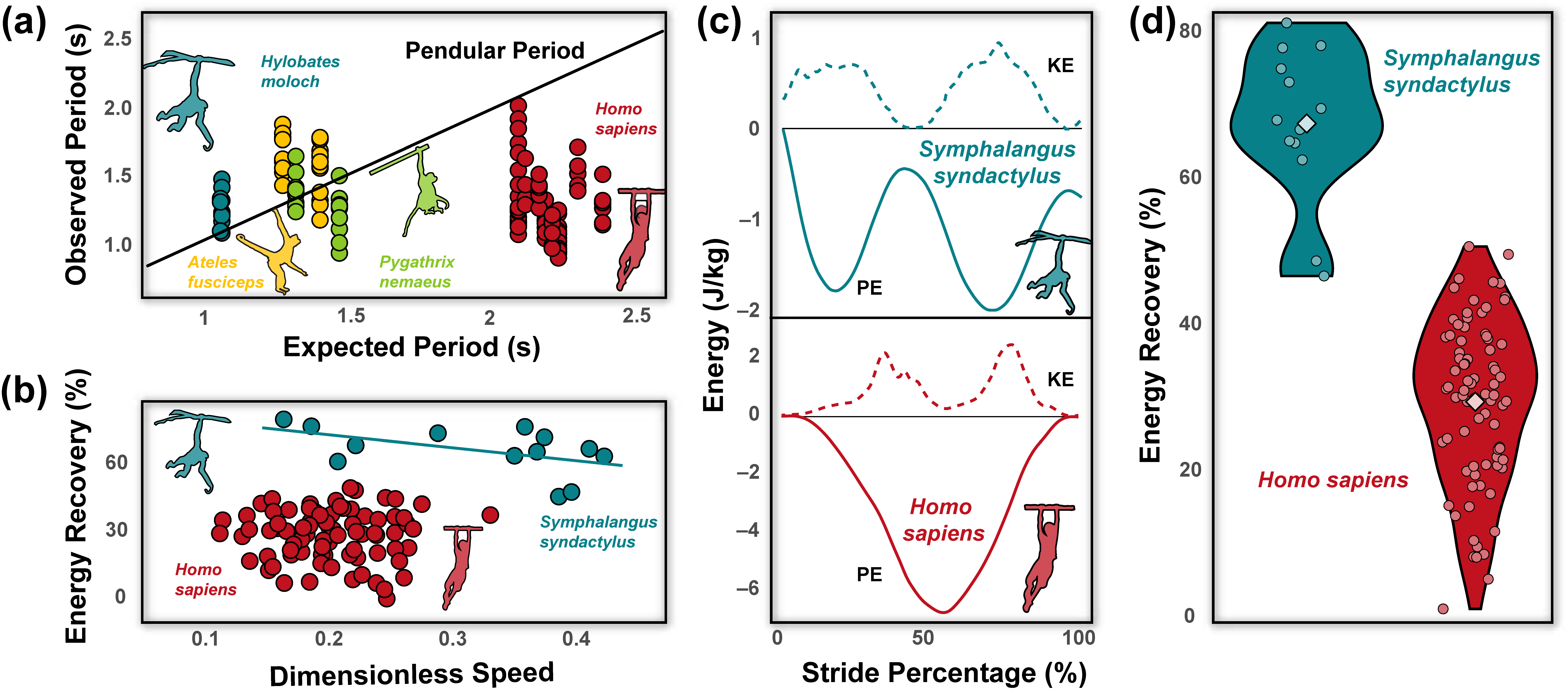 Animals 13 01438 g002