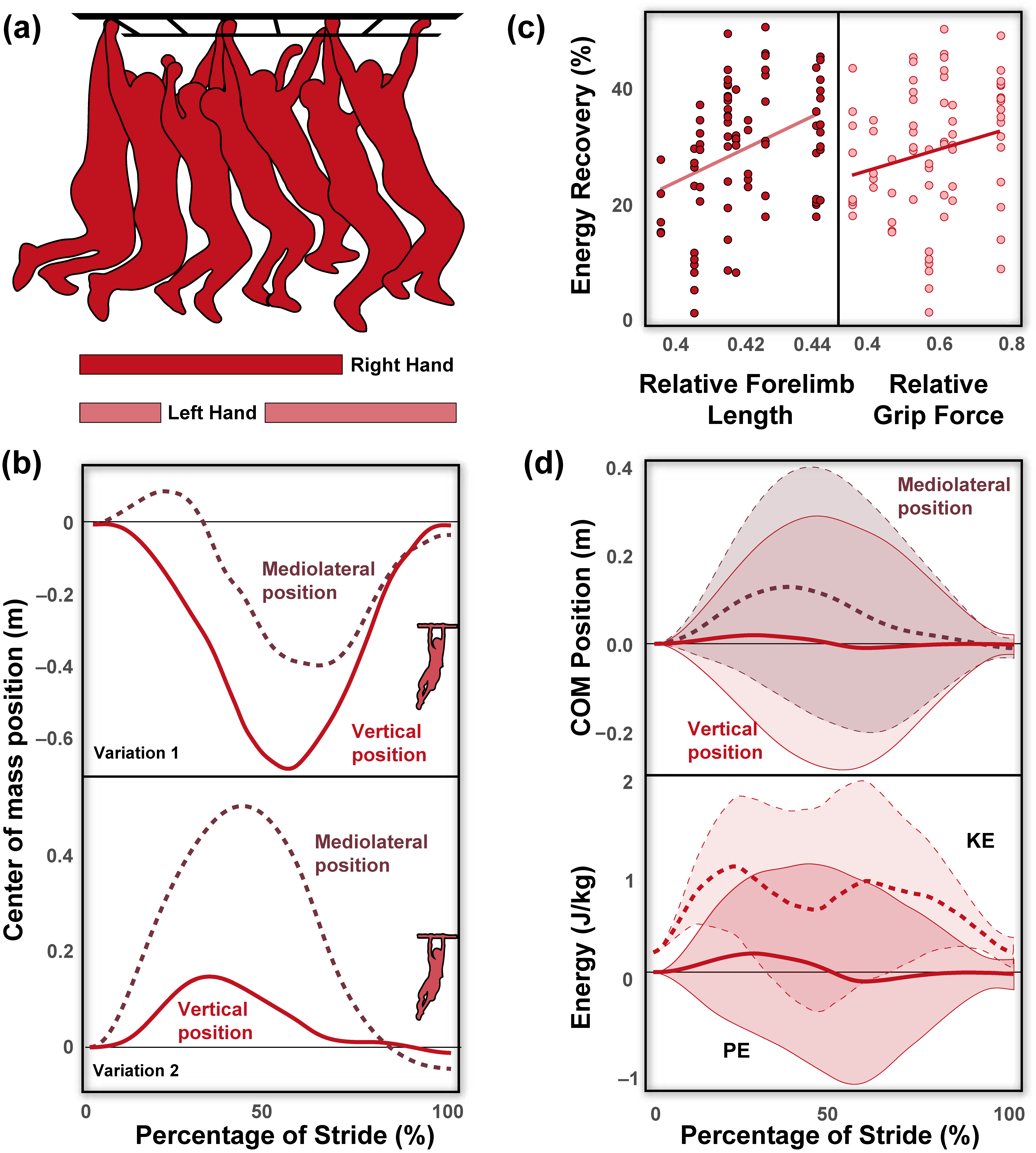Animals 13 01438 g003