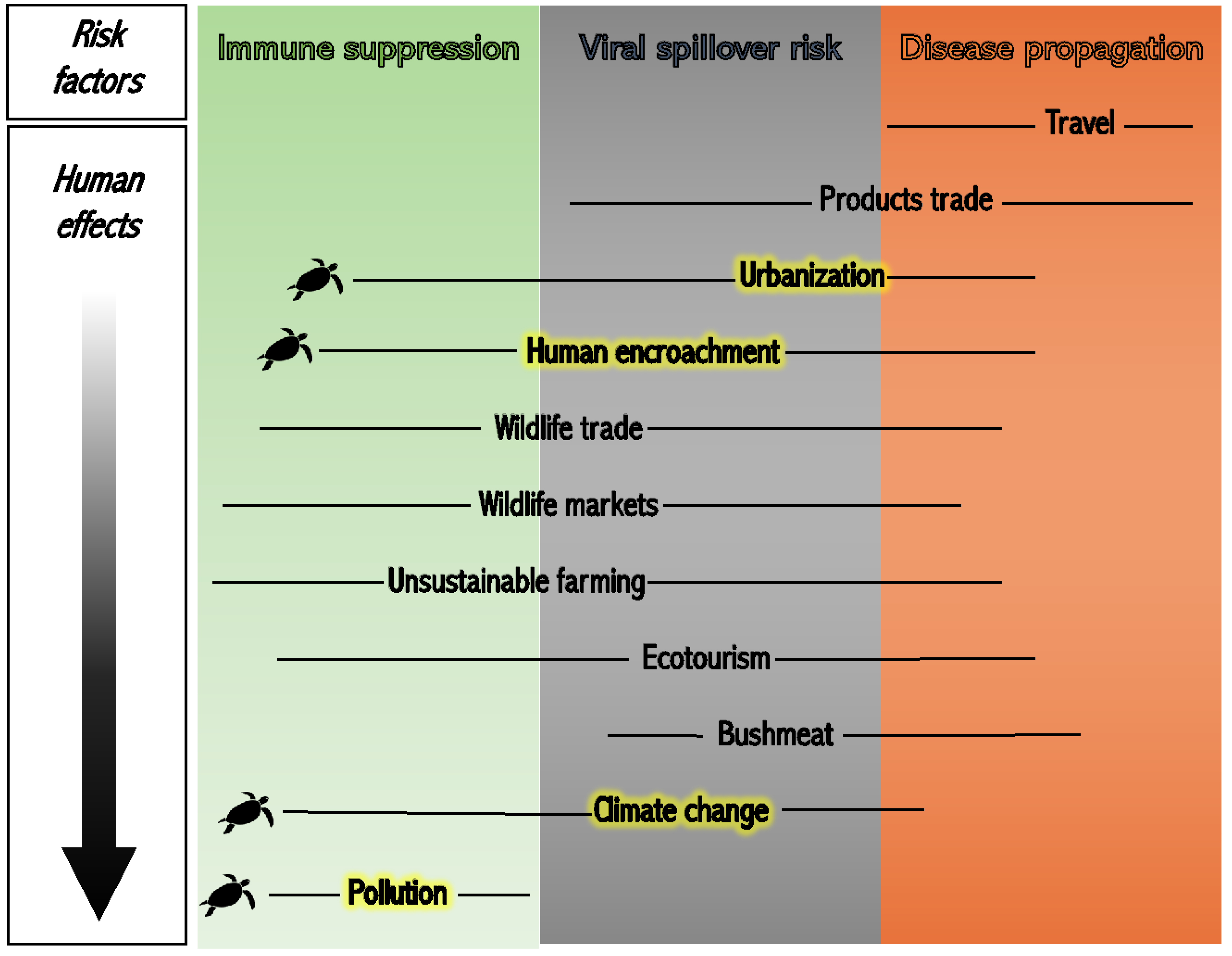 Animals 13 01441 g001