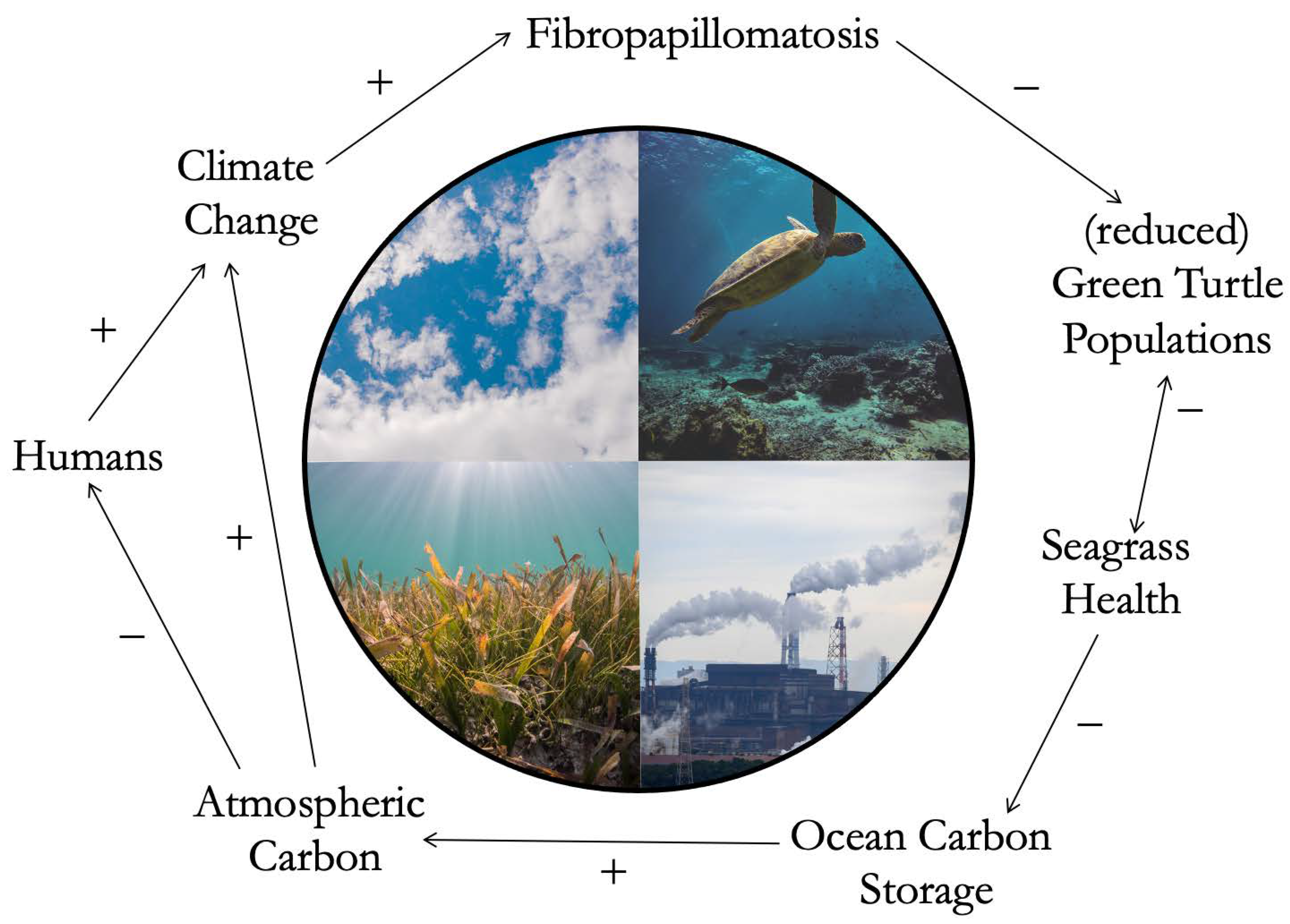 Animals 13 01441 g003