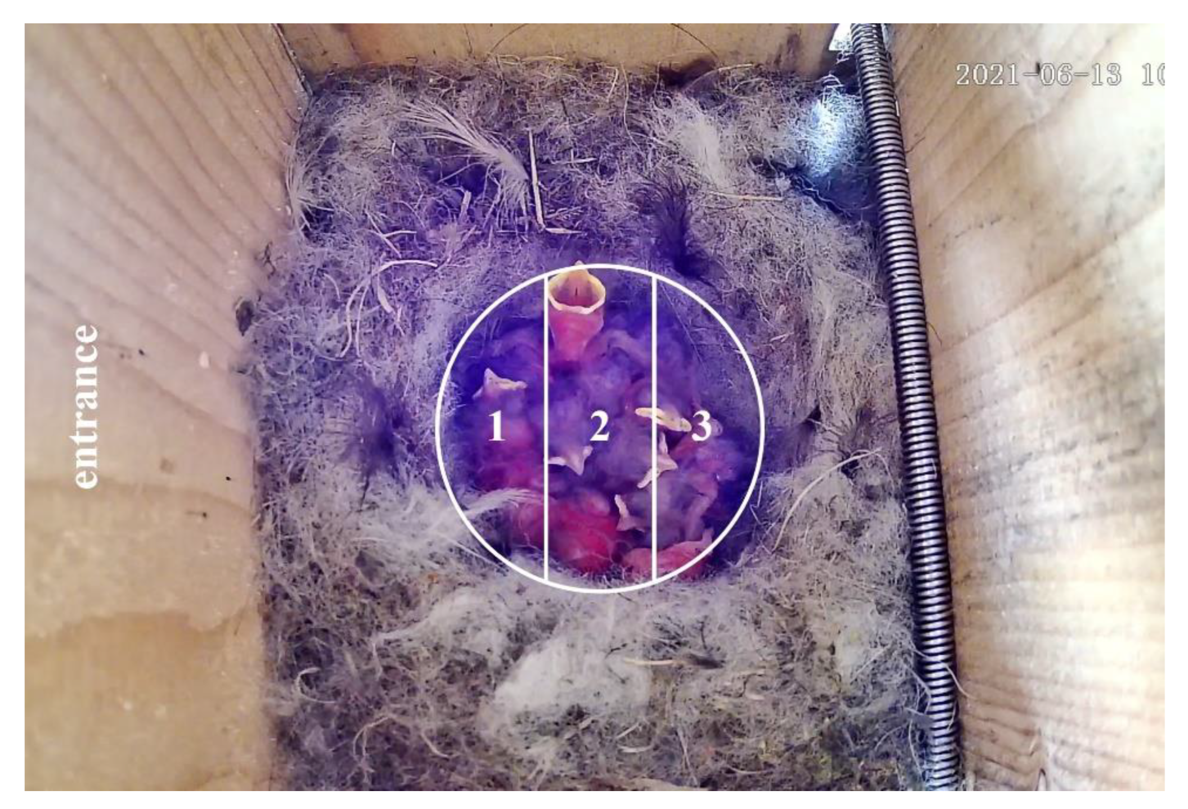 Animals 13 01443 g001