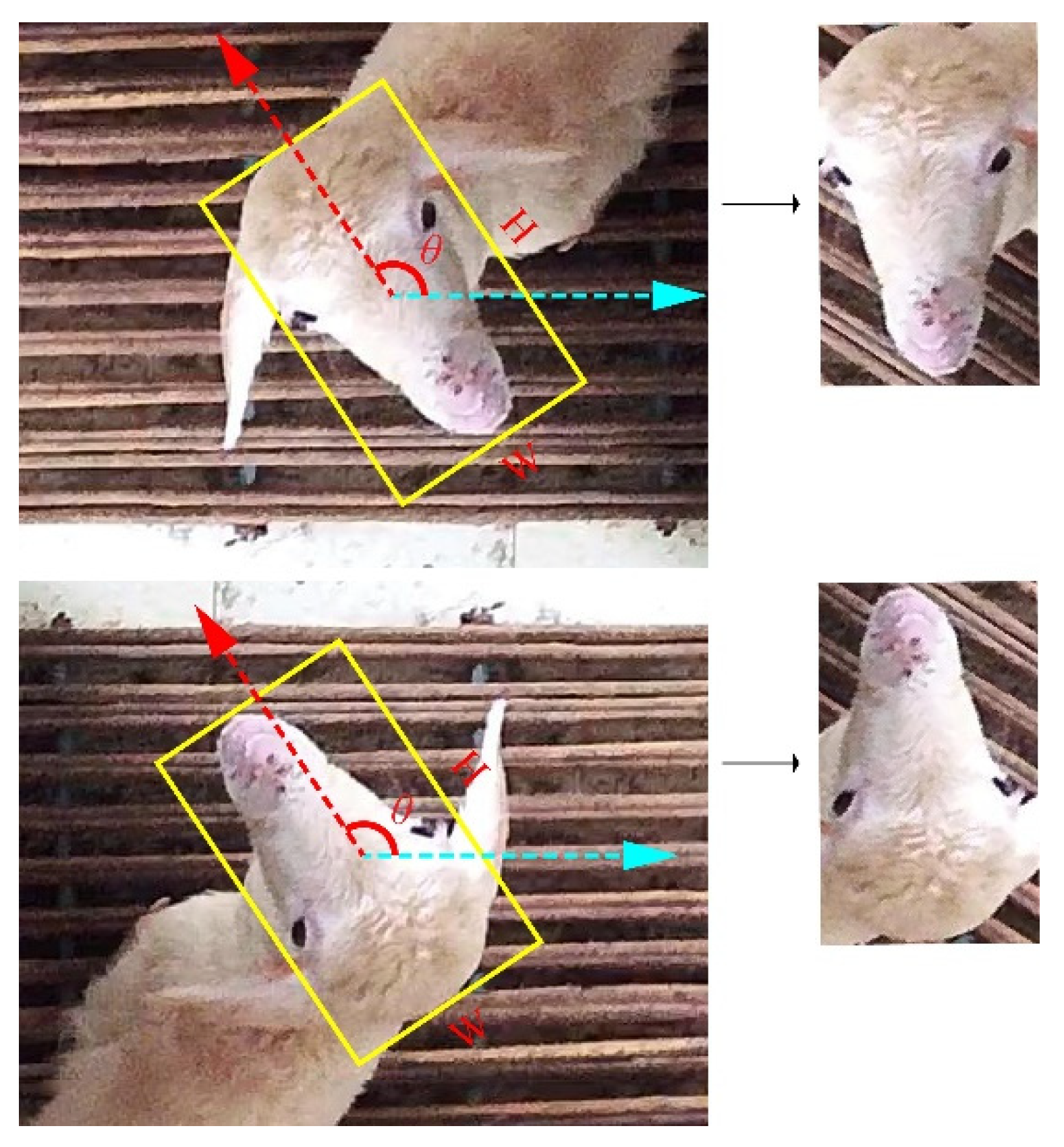 Animals 13 01446 g001