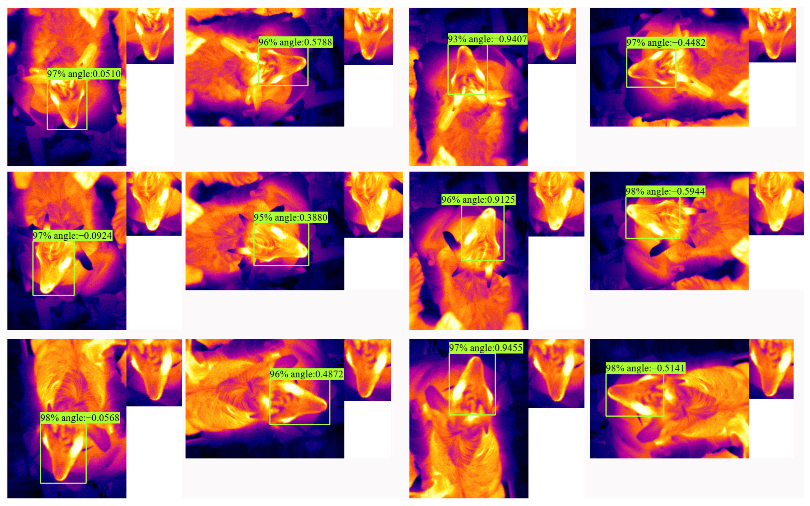 Animals 13 01446 g010